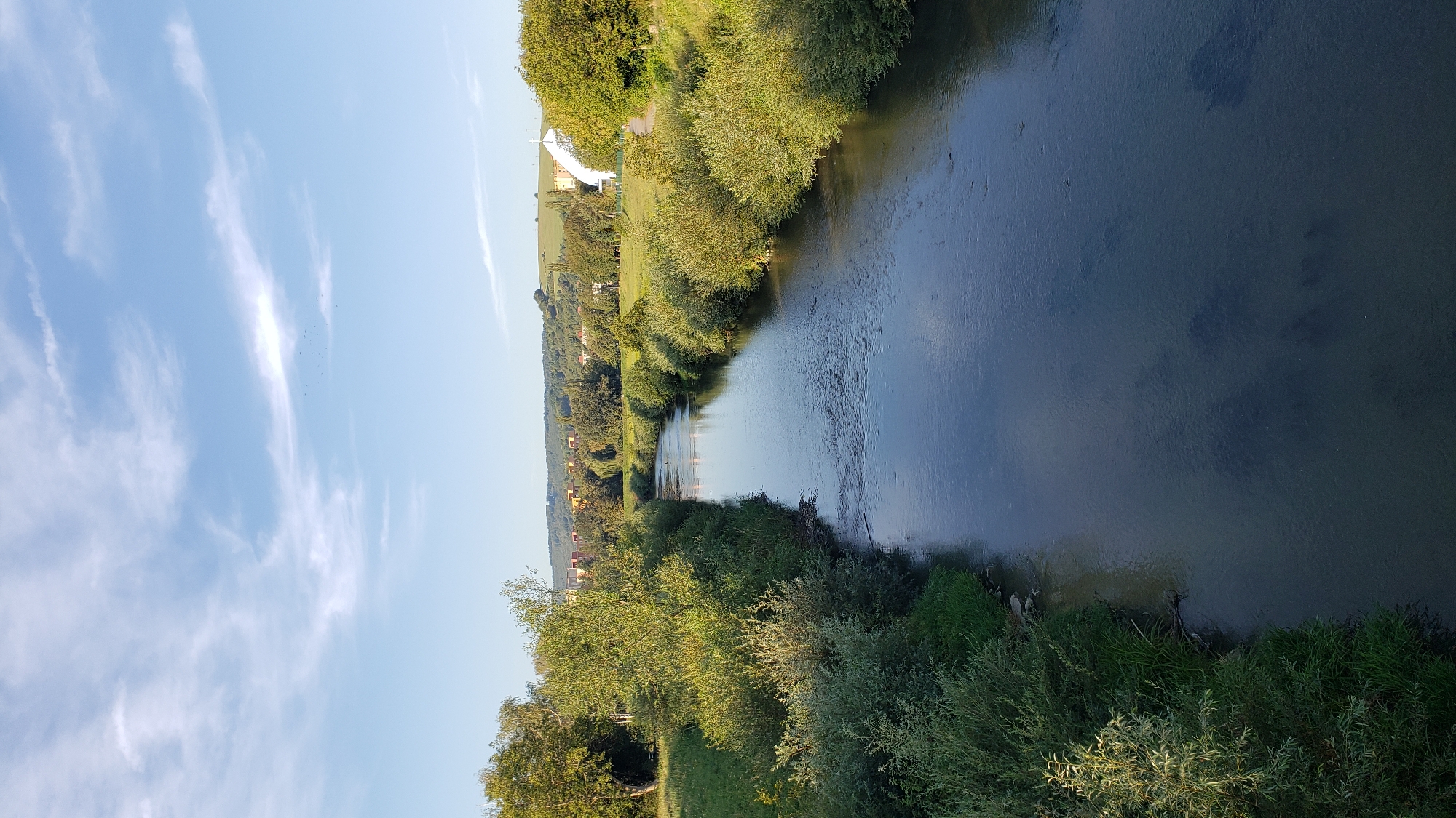 This is a landscape photograph taken from a bridge or elevated position, looking down a calm river that flows through a green, vegetated area. The river is the central focus, reflecting the blue sky and scattered white clouds. On either side of the river are dense, lush green bushes and trees, with patches of grass. In the background, across the river, are residential buildings and more trees, indicating a settled area. A distinctive white, modern-looking building with a cross on top is visible on the right side of the background. The overall atmosphere is peaceful and natural, with a touch of urban integration. This scene depicts the Sekčov river in Prešov, Slovakia, likely near the area with the residential blocks visible in the background.