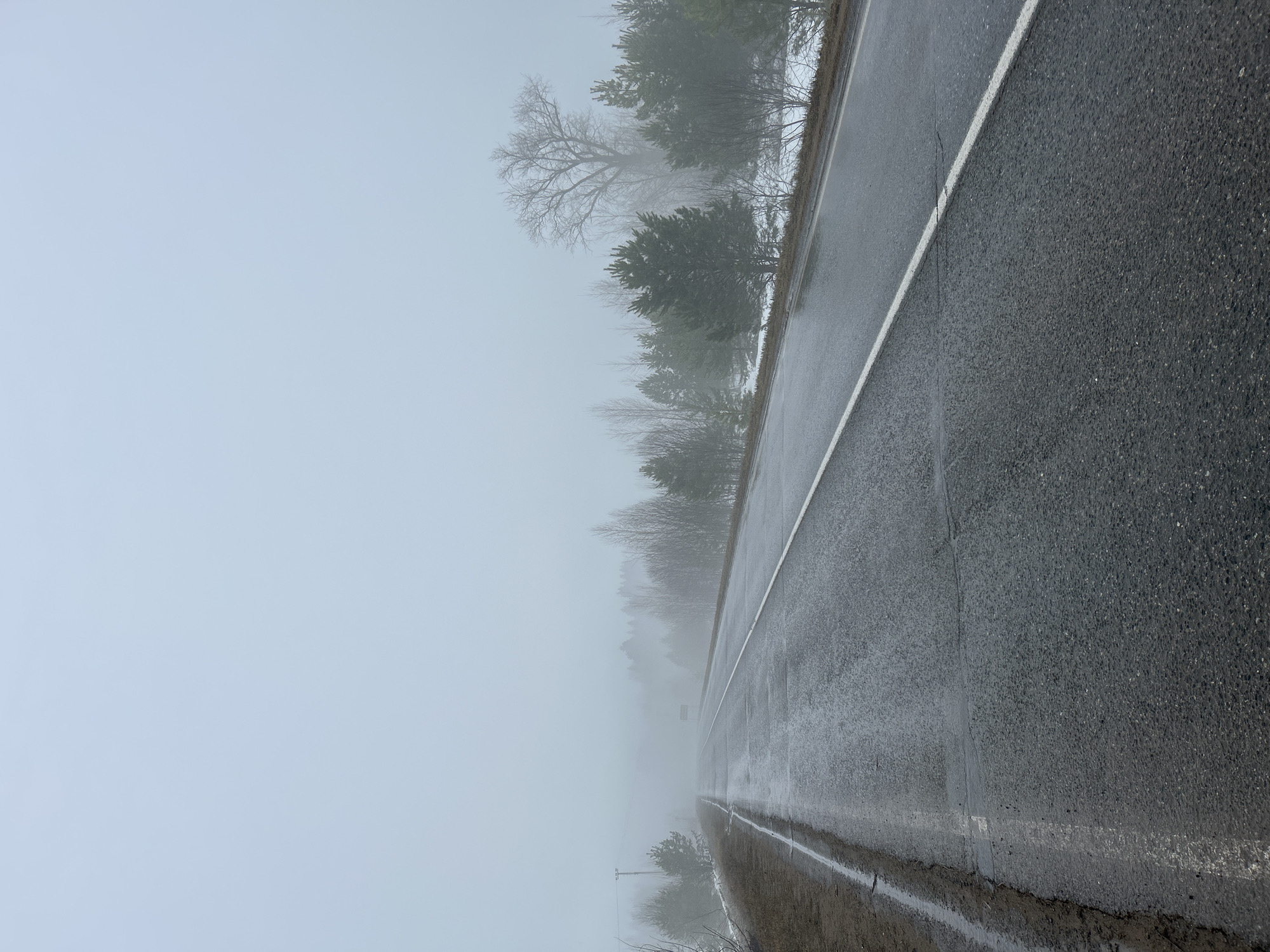A damp, foggy day is depicted in this roadside view. An asphalt road with a white line marking its edge stretches into the distance where visibility is severely limited by dense fog. On the right of the road, the asphalt appears coarse and textured. To the left, trees line the roadside, their shapes partially obscured by the fog. The sky is overcast and blends seamlessly with the fog, giving the scene a monochromatic grey tone.
The location is in Уральское, Russia.