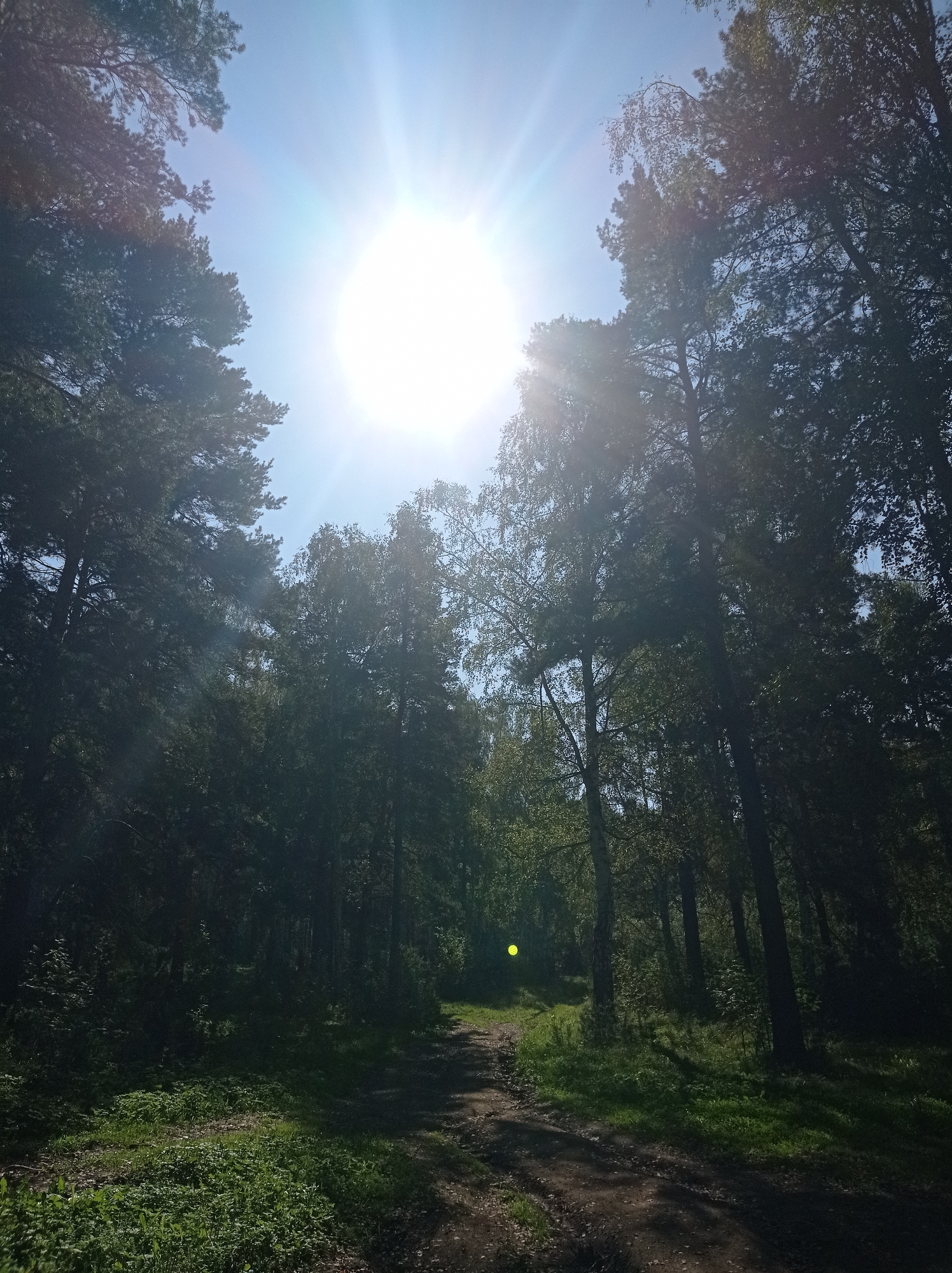 The image depicts a sun-drenched forest path in Degtyarsk, Russia. The sun is high in the sky, casting bright rays through the dense canopy of pine and birch trees. A dirt path winds through the forest, partially covered in green grass and foliage on either side. The light creates dappled shadows on the ground, and a bright, circular glare is visible in the sky, likely due to the sun's intensity. The scene appears to be a natural, outdoor environment, possibly a park or a wooded area on the outskirts of the city. There are no people or animals visible in the image.