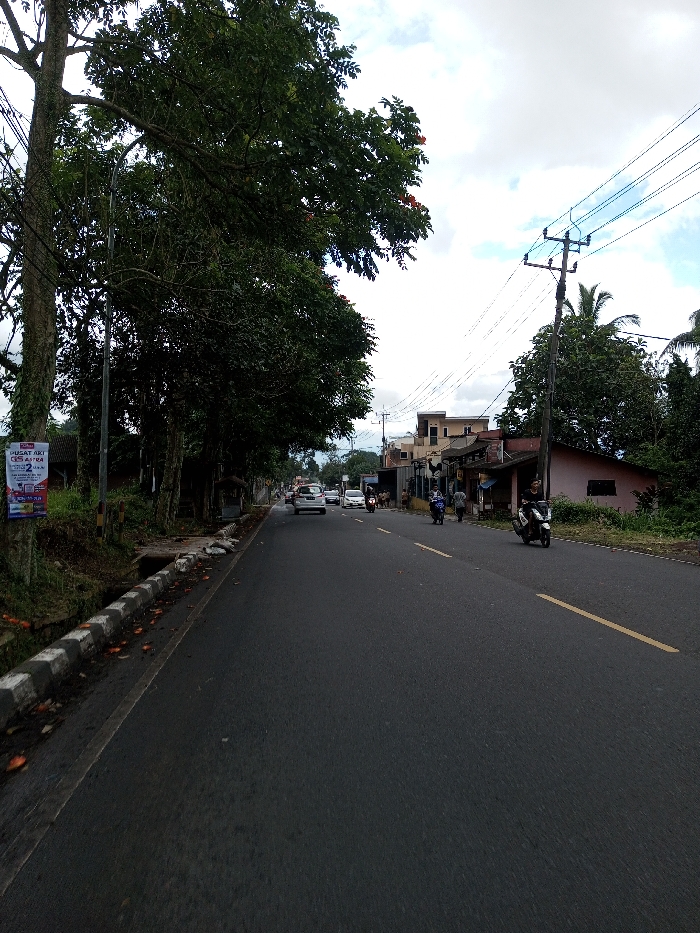 A wide-angle photograph depicts a street scene in Serpang Shalli, Bhutan, under an overcast sky. The asphalt road features a central yellow dashed line and extends into the distance.
On the left side of the road, a concrete curb with black and white stripes borders a narrow, unkempt drainage ditch containing several scattered orange-colored objects. A large tree with dark green foliage and occasional red blooms stands prominently, with a street light pole positioned beneath it. Further along this side, a line of smaller trees and dense vegetation parallels the road. A white and purple poster, bearing the text "PUSAT AKI CES ASTRA," is affixed to a tree or pole.
On the right side of the road, a utility pole with numerous overhead electrical wires is visible, extending towards a collection of buildings. These include a two-story, light-colored structure with a brown roof and a single-story, light pink building featuring a dark awning. Dense green vegetation, including palm-like trees, surrounds these structures. Several individuals are present on this side: two pedestrians walk on an unpaved shoulder, and a person on a black scooter is positioned in the foreground, facing away from the viewer. Another person on a scooter is further down the road on this side.
Traffic moves in both directions. A white sedan, followed by a darker vehicle and two motorcycles, travels away from the viewer in the left lane. The scene indicates a busy roadside environment with mixed vehicle and pedestrian traffic.