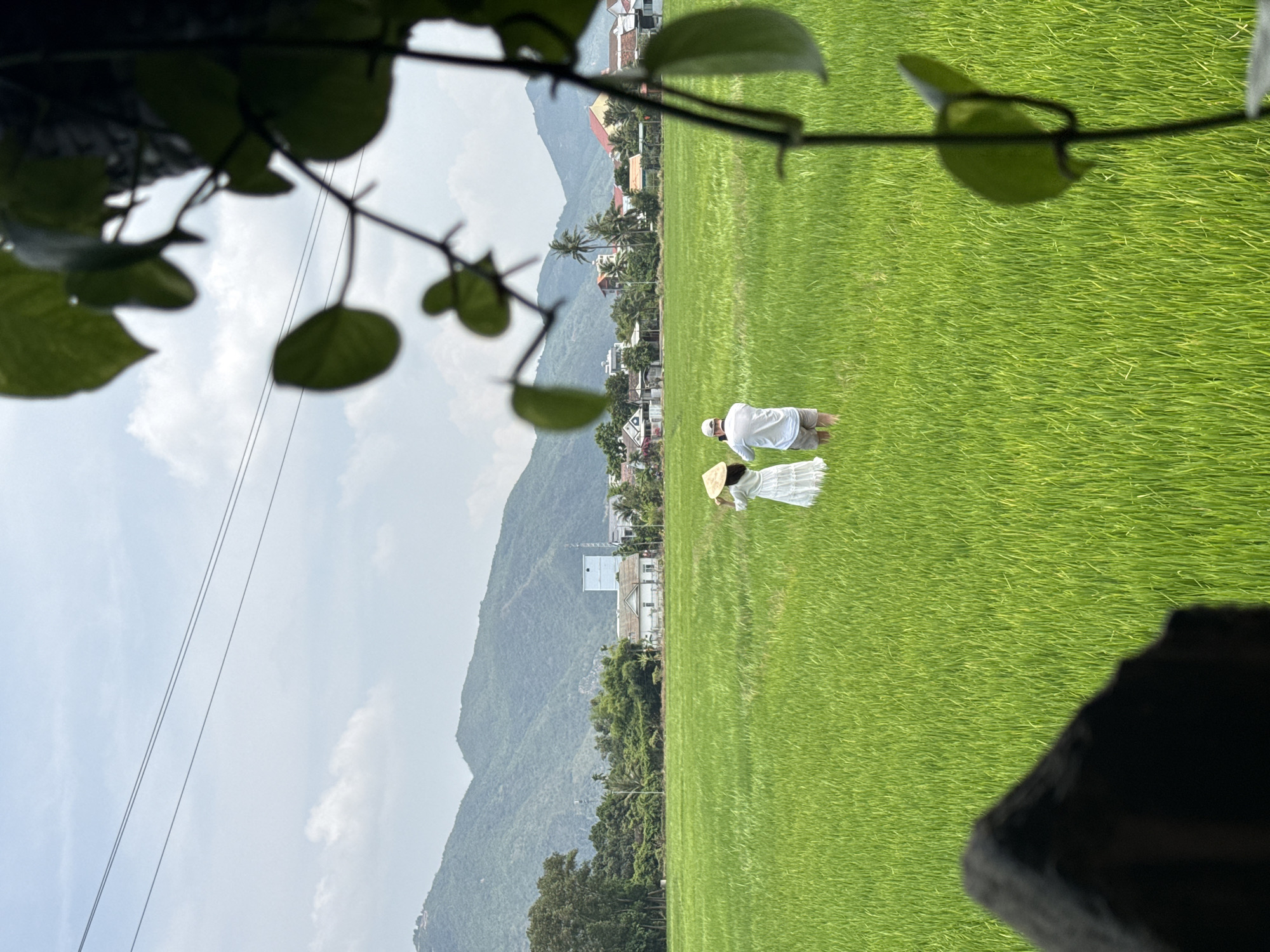 The image captures a vibrant rural landscape in Diên Khánh, Vietnam, dominated by extensive lush green rice fields under a bright, partly cloudy sky. In the mid-ground, two individuals are present within the rice paddy. A man, dressed in a white t-shirt and light-colored shorts, stands, looking towards the right. Beside him, a woman wears a white dress and a traditional Vietnamese conical hat (nón lá), appearing to be slightly stooped or looking down at the rice plants. Their activity suggests they are either strolling through the fields or perhaps observing the crop.
The top and right side of the foreground are partially obscured by dark, leafy foliage, creating a natural frame for the scene. In the background, beyond the vast green expanse, a cluster of houses and buildings with various roofs (including red and white) are nestled at the base of prominent, forested mountains that stretch across the horizon. Palm trees are scattered among the buildings, enhancing the tropical setting. The sky is a light blue with patches of white clouds, indicating clear, bright daylight. The scene evokes a peaceful and picturesque view of Vietnamese agriculture and natural beauty. No visible text is present in the image.