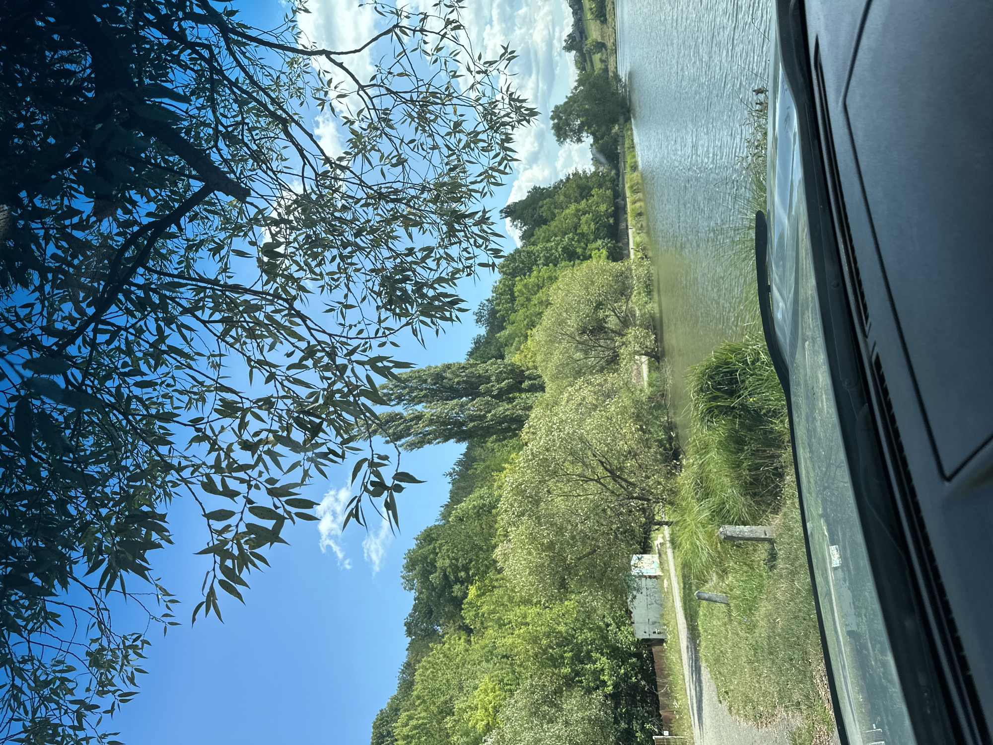 An eye-level shot from inside a vehicle shows a natural landscape. The foreground is dominated by the dashboard of the vehicle. Beyond the windshield, a lake is visible, reflecting the sky and surrounding trees. On the left side of the frame, a dirt path runs alongside the lake, bordered by lush green grass and reeds. Further back, a dense forest covers rolling hills under a bright blue sky dotted with white clouds. Several tall, slender trees stand out against the backdrop of the forest. A low concrete structure with graffiti is visible near the path. The overall scene depicts a serene, sunny day in a rural or park-like setting, possibly in Makiv, Ukraine, given the context.