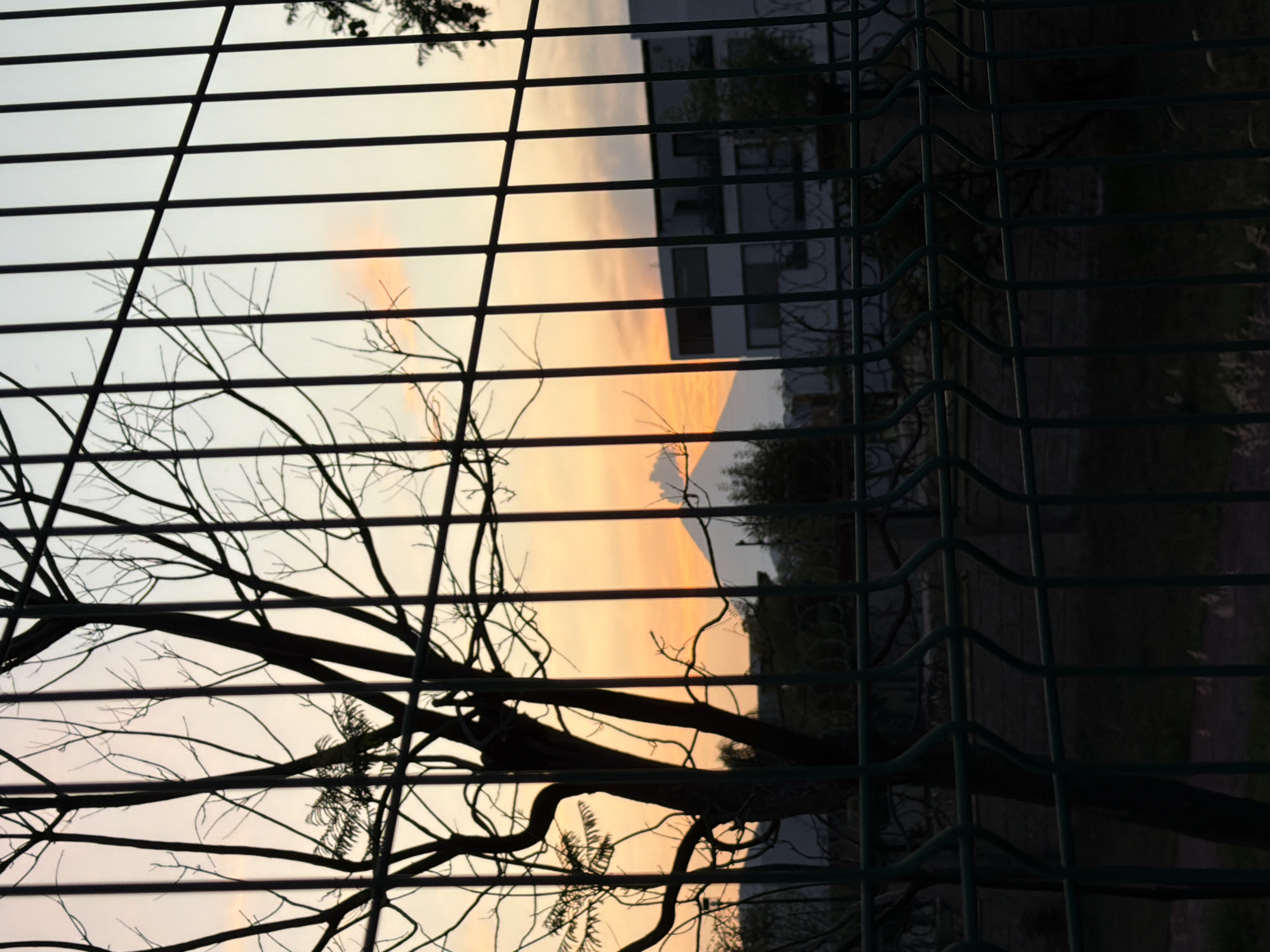 A horizontal image shows a sunset viewed through a fence, likely located in or near Santa Clara Ocoyucan, Mexico. The fence consists of two types: a wire mesh fence on the right and a metal bar fence on the left, both obscuring the view. A bare tree with thin branches is silhouetted against the sky, and some branches extend into the foreground. Behind the fence, a building is partially visible on the right. The sky is a mix of light yellow, orange, and gray, indicating a sunset or twilight.