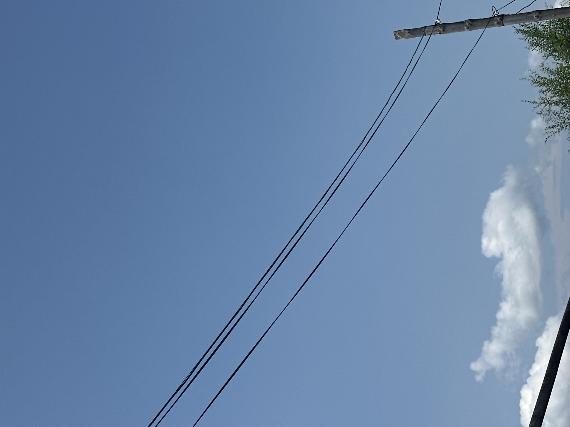 The image depicts a clear blue sky with three parallel black wires stretching diagonally across the frame from the lower left to the upper right. A rough-hewn wooden utility pole is visible on the right side of the image, supporting the wires. Below the wires and to the right, the tops of lush green trees are visible, and a few fluffy white clouds are scattered in the lower portion of the sky. The scene appears to be an outdoor, possibly rural, environment. There are no people visible in the image. The image does not provide any specific indicators of its location within the city of Tobyl, Kazakhstan.
