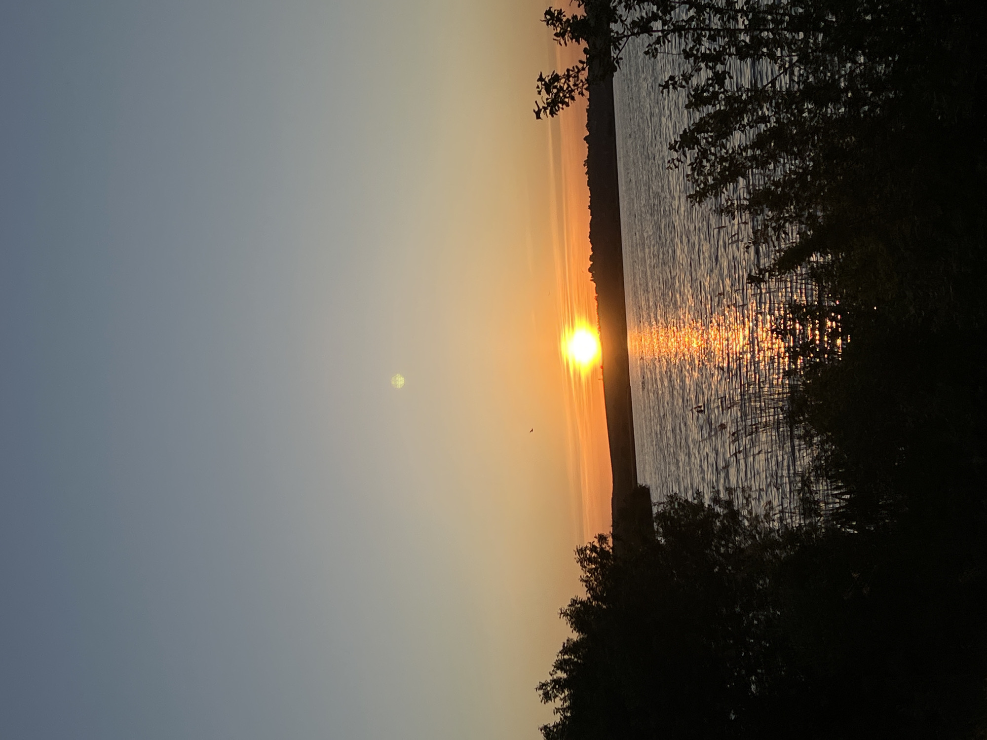 The image shows a sunset over a body of water, possibly a river or lake. The sun is positioned on the horizon, reflecting brightly on the water's surface. Silhouetted trees frame the right edge of the image. The sky transitions from a light blue at the top to a warm orange near the horizon where the sun is setting. There is a small dark object in the sky to the left of the sun, possibly a bird. The picture appears to be taken near a shoreline with vegetation. Without additional information, the specific location in Reniv, Ukraine cannot be determined.