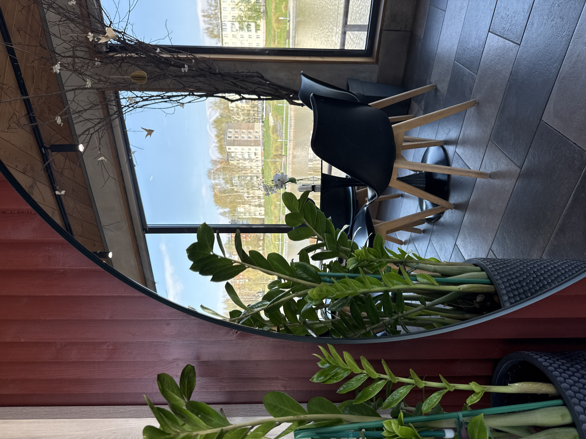The image captures an interior scene with a view of the city of Votkinsk, Russia, from a high vantage point. Prominently featured is a large window that frames a cityscape with apartment buildings, greenery, and a body of water.
Inside, two black chairs with wooden legs sit near the window, suggesting a seating area. To the left, decorative branches with small white ornaments add a touch of nature to the indoor space. A large, potted plant with green leaves dominates the foreground.
The wall is painted in a reddish-brown tone and has a textured appearance. The flooring appears to be made of large, gray tiles. The lighting is natural, coming from the window and casting shadows across the room.