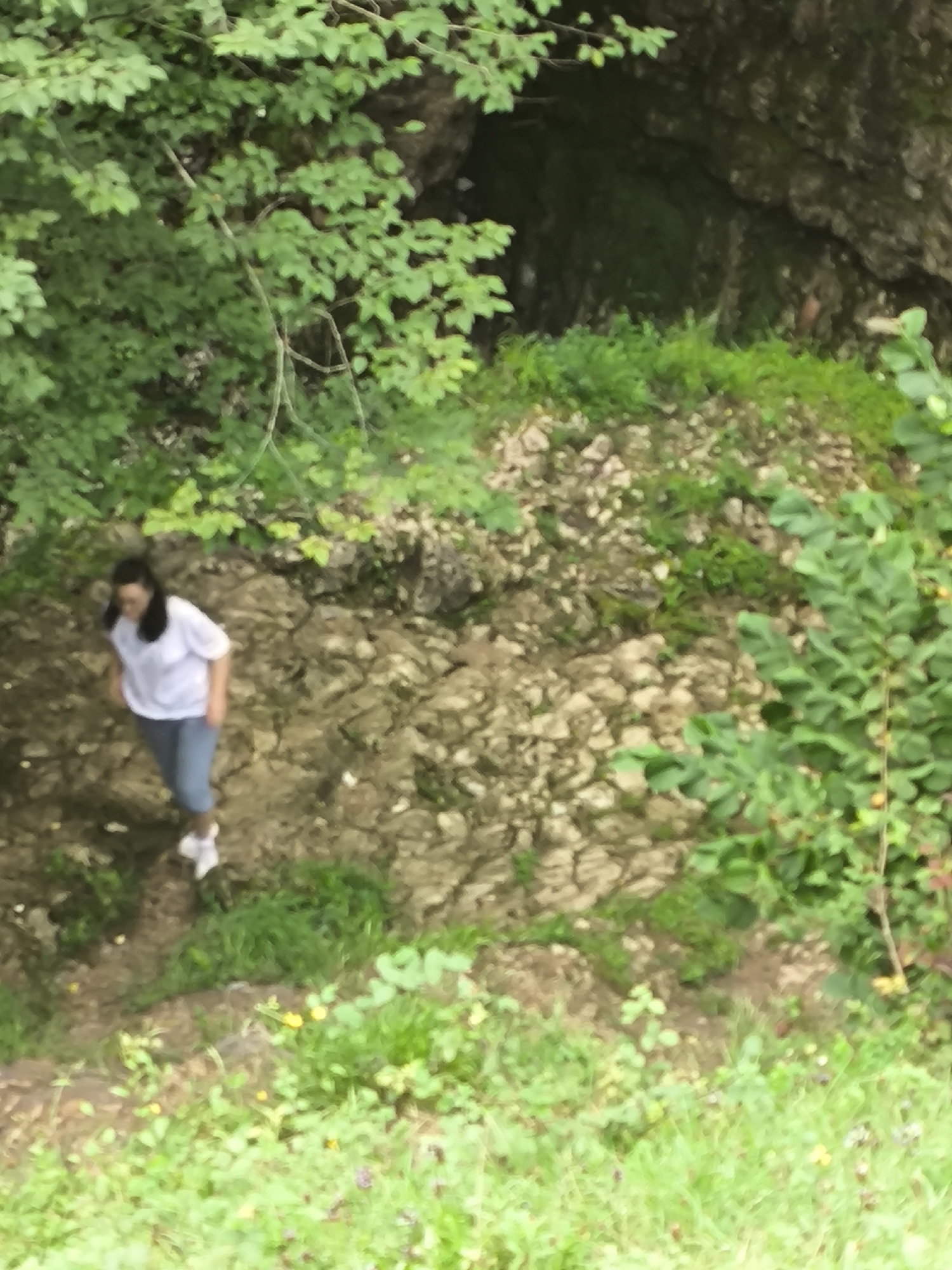 A person with dark hair, wearing a white t-shirt and blue pants, is walking on a rocky, uneven surface covered with greenery. The person is in the lower left quadrant of the image, looking down and to their left. The background consists of dense green foliage and a dark, rocky cave entrance or overhang. The ground appears to be a mix of soil, rocks, and sparse vegetation, with some yellow flowers visible in the foreground. The lighting suggests an outdoor, possibly shaded environment. The location is identified as Lebache, Georgia.