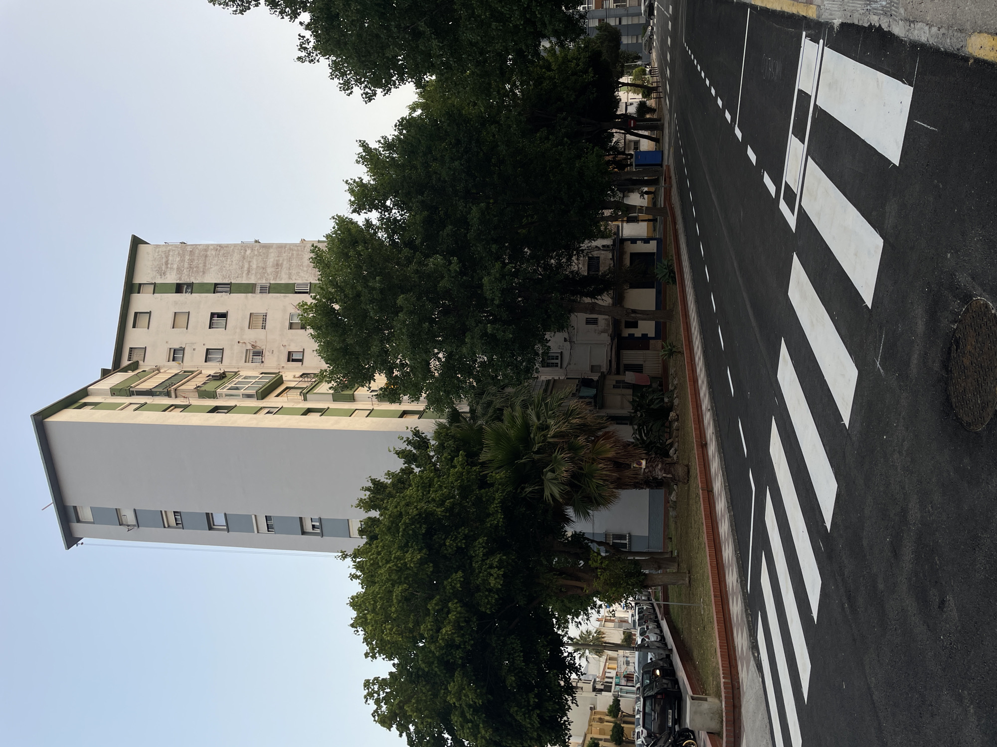 A low-angle, full shot captures a street scene in La Línea De La Concepción, Spain, under a clear, pale blue sky. In the background, a tall, multi-story apartment building dominates the frame. The building is primarily light gray with green accents around its windows and roofline. Several trees, some with dense green foliage and one prominent palm tree, line the sidewalk in front of the building. The foreground features a newly paved asphalt road with white painted crosswalk lines and traffic markings. Cars are parked along the sidewalk on the left side of the street, and a single traffic light is visible in the distance. The overall impression is of an urban residential area during daylight hours.