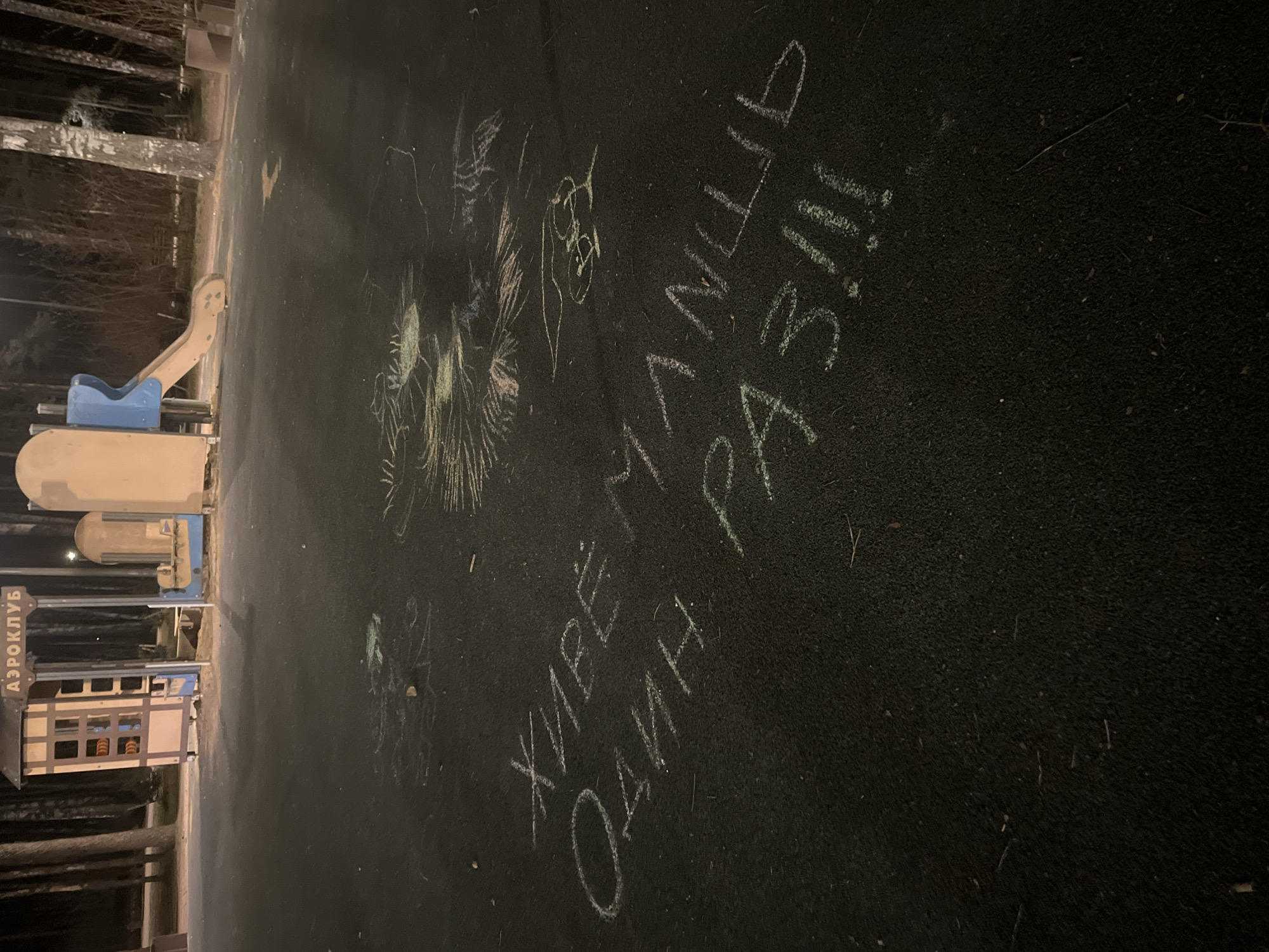 The image depicts a playground surface in Saint Petersburg, Russia. Chalk drawings and writing are visible on the dark green surface. The text reads "Live Once !!!". A crude chalk drawing of a cat is also present. A playground structure with a slide and a smaller wooden structure are partially visible in the background. Trees surround the playground, suggesting a park setting. It appears to be evening or night, based on the lighting conditions.