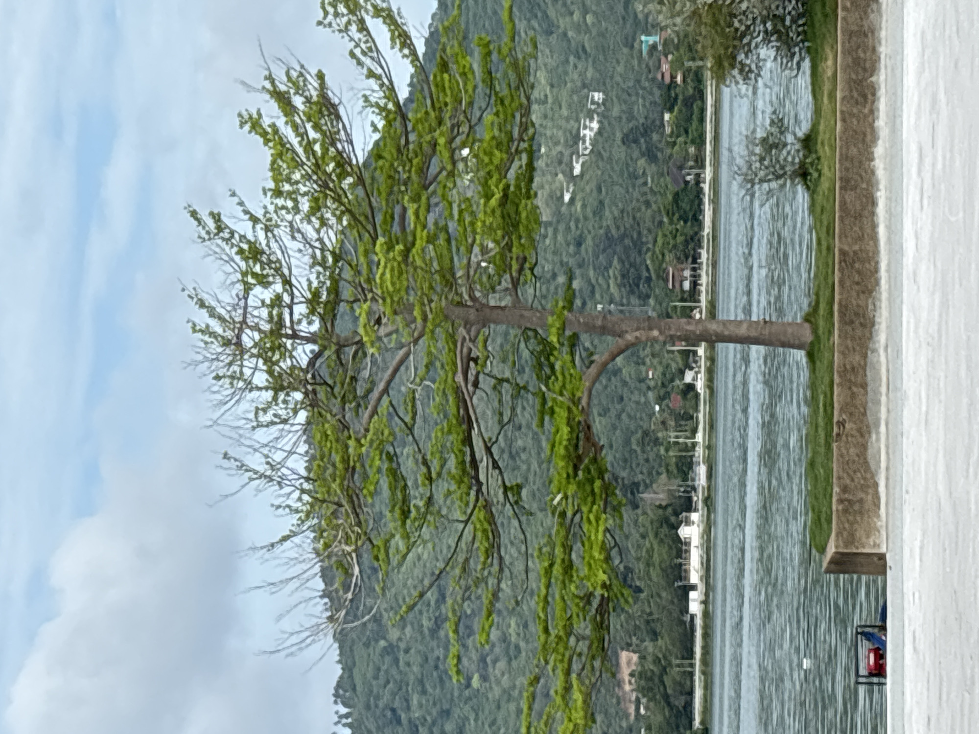 The image depicts a tree with green foliage standing near a body of water. In the background is a lush green mountain with scattered buildings. The setting appears to be an outdoor location in the city of บ้านบางรักษ์, Thailand. A concrete structure is visible on the right side of the image.