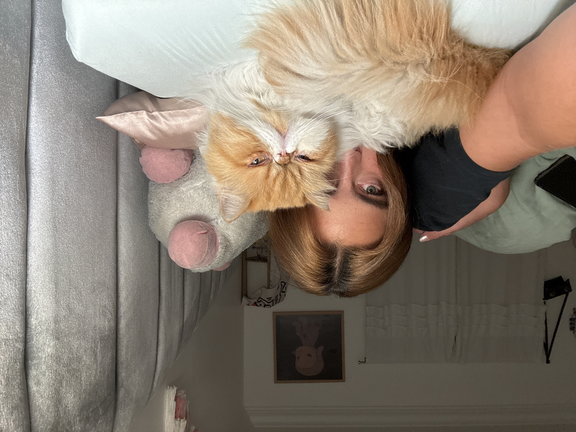 A person is lying down, holding a cat close. The cat is orange and white. A plush toy sits beside them, and a painting hangs on the wall in the background. Based on the image content alone, the location cannot be definitively determined to be Los Angeles.