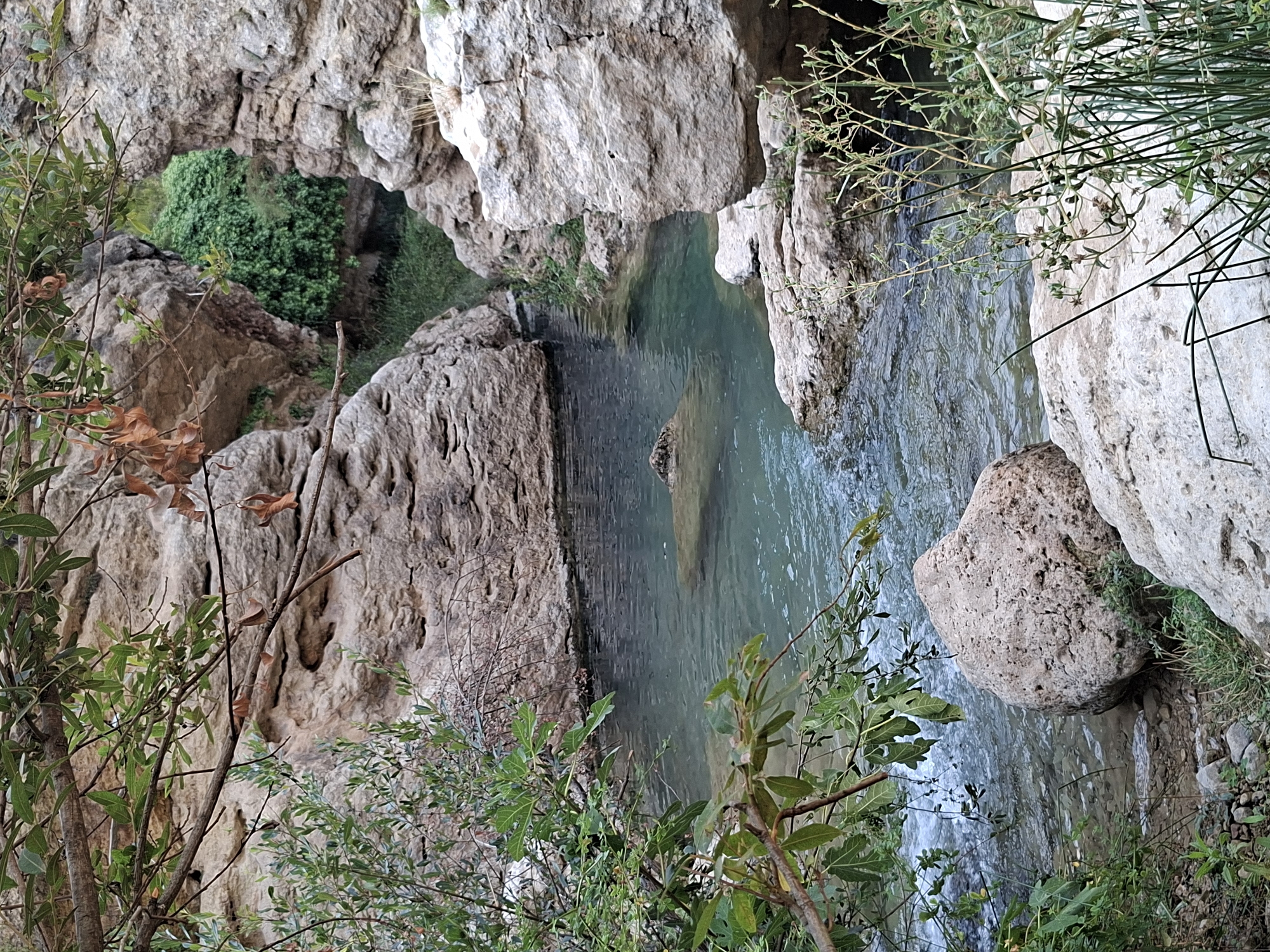 The image depicts a natural scene within a rocky gorge. A body of clear, greenish water flows through the center of the frame, bordered by large, light-colored rocks and lush green vegetation. Branches and leaves from trees hang over the water from the left side of the image. In the background, dense green foliage is visible in a recessed area of the gorge. The overall impression is one of a secluded, natural water feature within a canyon. The location is stated to be Unknown, Spain.