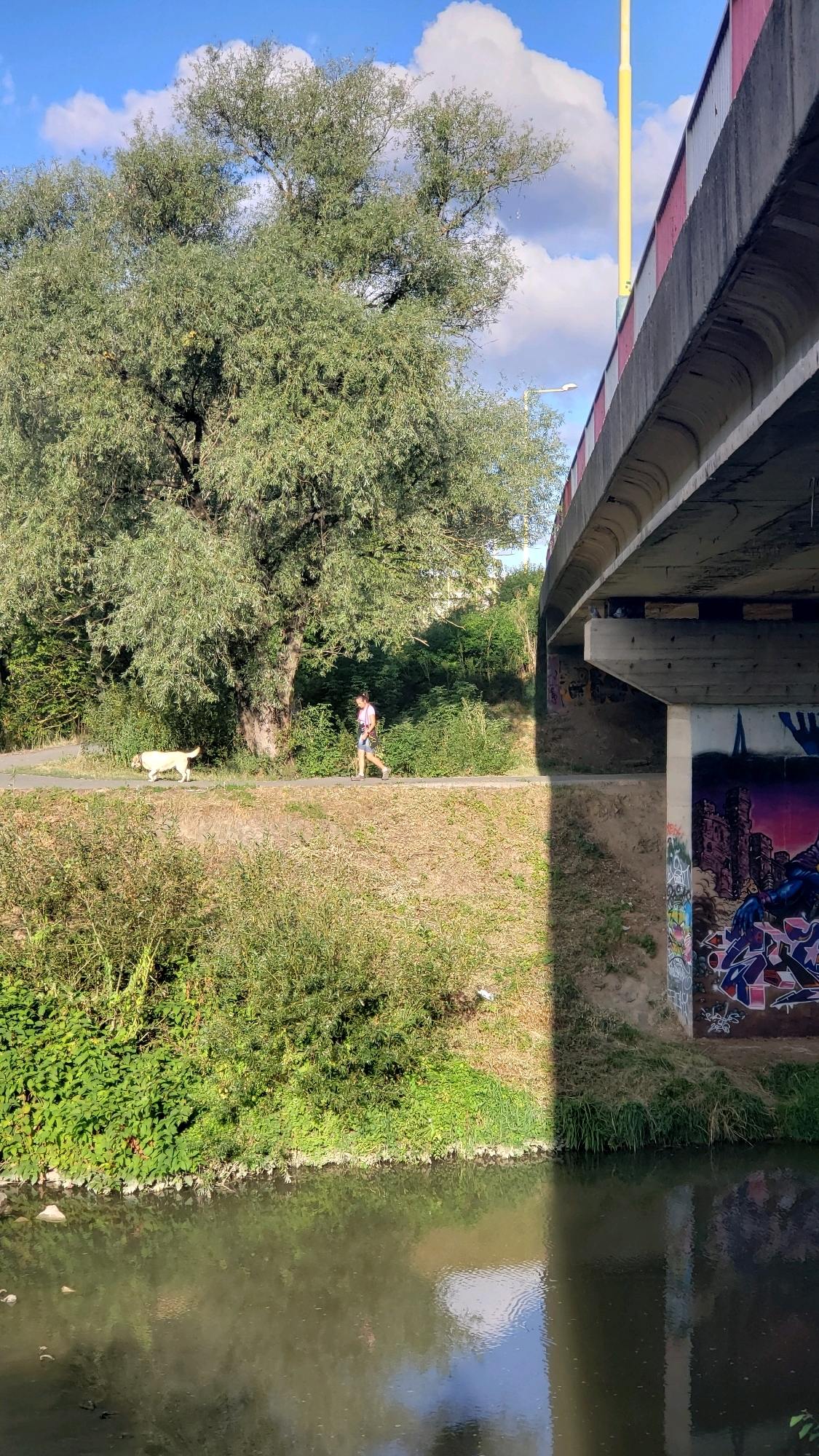 A person and a dog are walking on a paved path under a bridge in Prešov, Slovakia. The person is wearing a pink shirt and blue shorts. The dog is light-colored. The bridge is concrete and has red and white markings on its railing. There is graffiti on the underside of the bridge. A large tree with green leaves is to the left of the path. The path is next to a body of water. The sky is blue with white clouds.