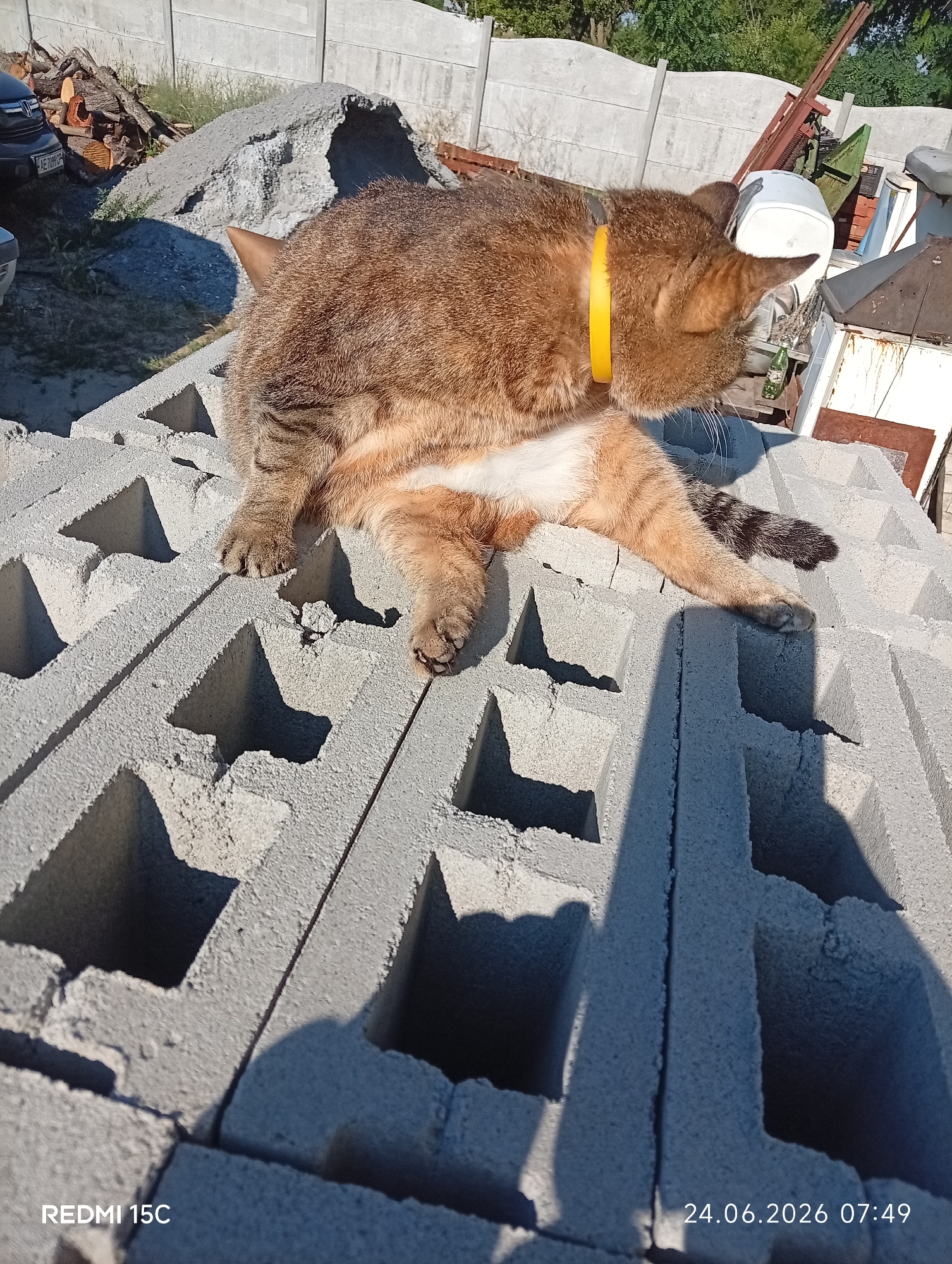 An orange tabby cat with white markings is resting on a stack of concrete blocks outdoors. The cat is wearing a bright yellow collar and appears to be grooming itself, with its head turned down towards its chest. Its paws are visible, resting on the textured surface of the blocks. The scene is brightly lit by the sun, suggesting it is daytime. In the background, there is a grey concrete fence, some cut logs, a pile of gravel, and various construction materials, including metal scaffolding and a white object that might be a bin or a piece of equipment. The overall setting suggests a construction site or a yard with building materials. The time stamp at the bottom right indicates "24.06.2026 07:49", implying it is early morning on that date. The text "REDMI 15C" is also visible in the bottom left corner, indicating the device used to capture the image. The environment appears to be a residential or industrial area in Mykolaivka, Ukraine.