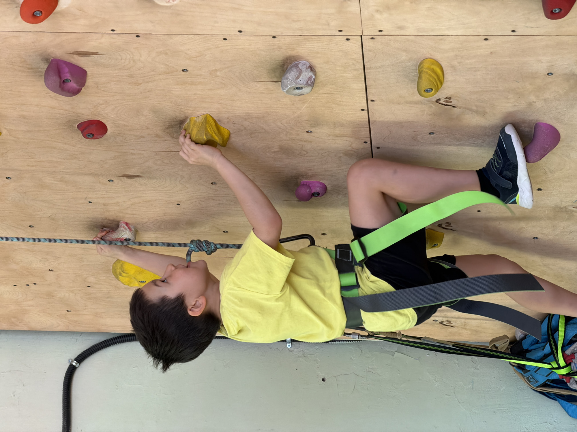 A boy wearing a yellow t-shirt, black shorts, and dark-colored sneakers is rock climbing on a wooden climbing wall. He is wearing a climbing harness with green and grey straps. He is holding onto climbing holds of various colors (yellow, pink, red, grey) on the wall. A climbing rope is visible near his left hand. The background shows a light-colored wall and some electrical conduit. There is no indication of Izhevsk, Russia.