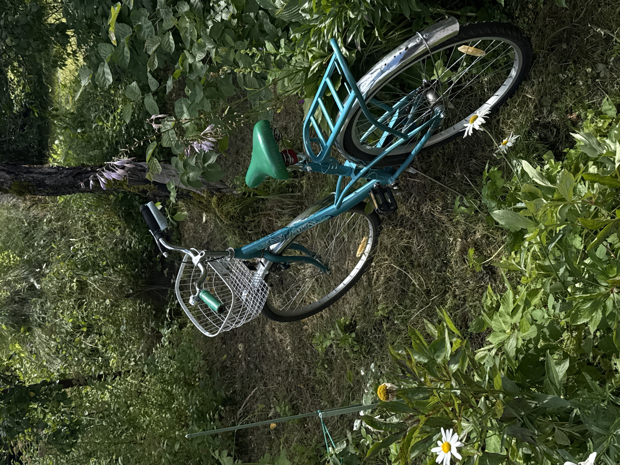 A turquoise bicycle is parked on a grassy area within a lush, green, outdoor environment. The bicycle has a silver wire basket attached to the handlebars, a green seat, and a rear rack. Several white daisies are in bloom in the foreground, with a single yellow flower also visible. The background consists of dense foliage, trees, and a rustic fence. The scene appears to be set in a garden or park, with dappled sunlight filtering through the trees. The location is identified as Красная Пресня Снт, Russia.