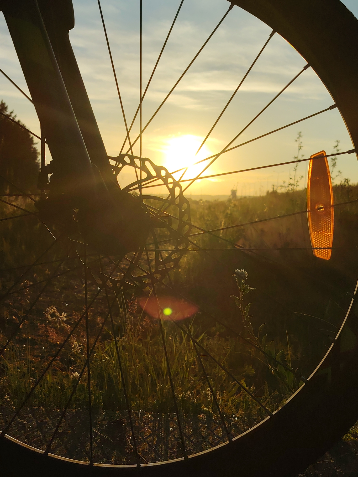 A close-up shot of a bicycle wheel in a grassy field during sunset. The sun is low on the horizon, casting a warm golden light and creating lens flare. The bicycle's brake disc is visible in the center of the frame. An orange reflector is attached to one of the spokes. In the background, there are trees, power lines, and the silhouette of distant buildings, suggesting an urban fringe location. The foreground is dominated by blades of grass and a few small wildflowers. The overall mood is serene and picturesque. The location is the city of Chaikovsky, Russia.
