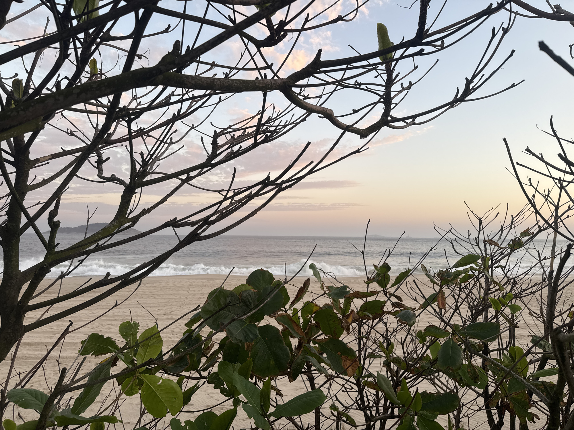 The image depicts a serene beach scene in Niterói, Brazil, likely during sunrise or sunset. The foreground is dominated by the intricate silhouette of tree branches, some bare and others with lush green leaves, framing the view. Beyond the foliage, a sandy beach stretches towards the ocean. Gentle waves roll onto the shore, creating a rhythmic pattern against the backdrop of a pale, pastel-colored sky, hinting at the soft hues of dawn or dusk. The overall atmosphere is tranquil and natural, showcasing the beauty of the coastal landscape of Niterói.