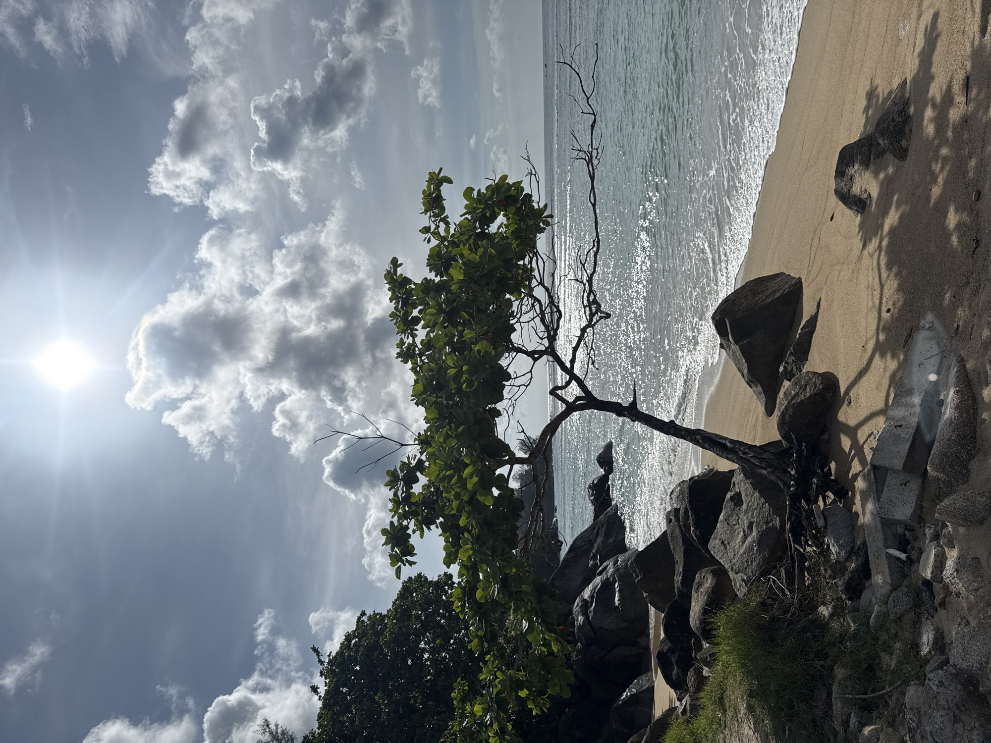 A photograph taken from a low angle shows a rocky and sandy beach in Kamala, Thailand, with a tree in the foreground. The sun is visible in the upper center of the frame, shining through scattered clouds, and its rays create a shimmering reflection on the water. The ocean is calm, with gentle waves lapping at the shore. Large, dark rocks are scattered along the left side of the beach, some with small patches of grass growing on them. A tree with green foliage and bare branches leans out over the sand and water. The sand is light brown and wet near the water's edge. The overall impression is one of a serene and natural coastal landscape.