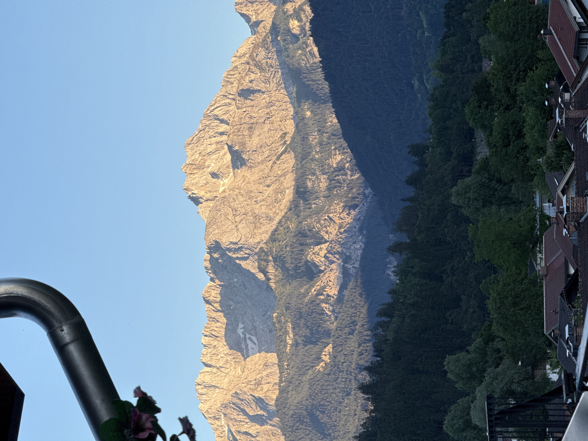 A mountain range illuminated by the golden hour sun is visible in the background. The peaks are jagged and rocky, with patches of snow. In the foreground, a dense forest of dark green pine trees covers the lower slopes. Below the forest, a scattering of red-tiled roofs of houses can be seen. A black gutter pipe runs across the top left corner of the frame, partially obscuring the clear blue sky. A few pink flowers are also visible near the gutter pipe. The image appears to be taken from an elevated position, possibly a balcony or rooftop, in the city of Garmisch-Partenkirchen, Germany, looking towards the Alps.