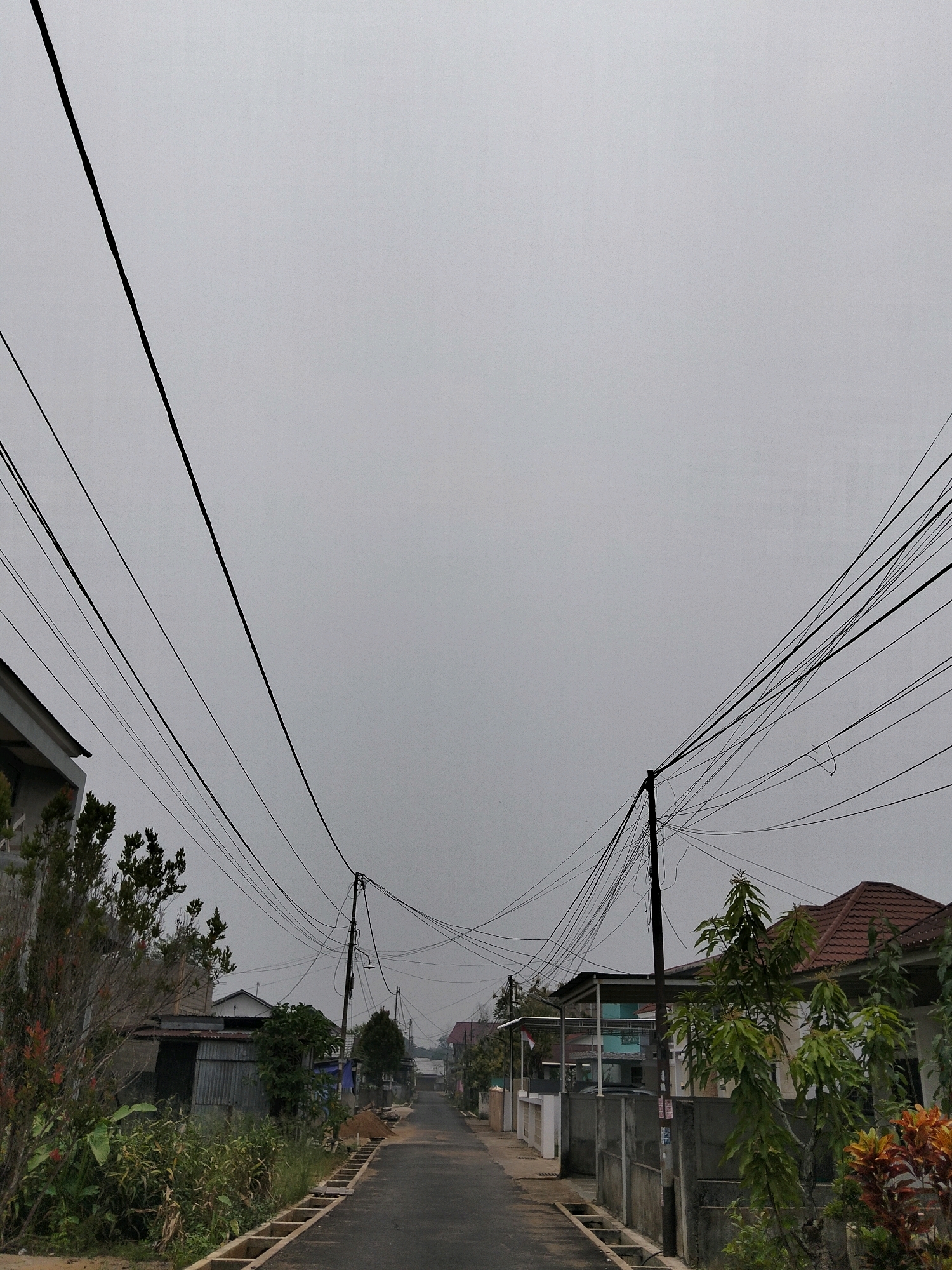 A low-angle, vertical shot captures an overcast sky above a street lined with houses and vegetation in Arang Limbung, Indonesia. Numerous black electrical wires crisscross the frame, suspended from utility poles, creating a dense, tangled network against the muted gray sky. On the left, a portion of a building with a gray roof is visible, bordering an area dense with green foliage and some reddish-brown plants. The street itself is paved and curves slightly into the distance, with houses and fences lining both sides. The houses exhibit various architectural styles, with some featuring tiled roofs. The ground on the side of the street includes a concrete drainage system. The overall atmosphere is subdued, likely due to the overcast weather. There are no people or animals visible in the scene.