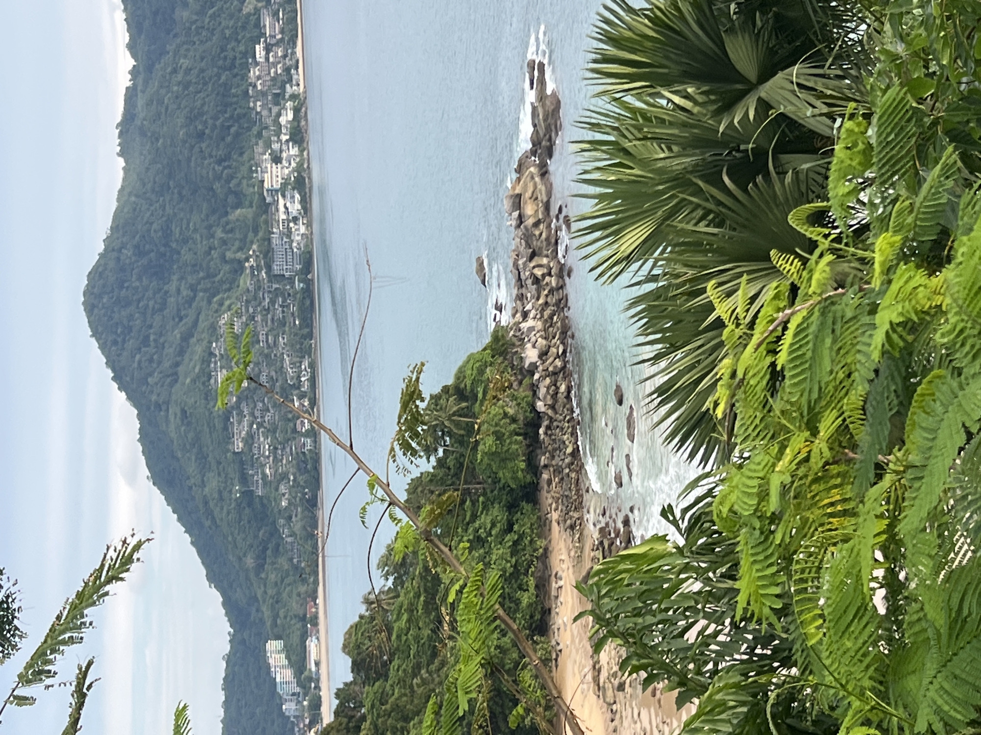A scenic view of the Andaman Sea off the coast of Ban Bang Thao, Thailand, is captured from an elevated vantage point. Lush green foliage dominates the foreground, with palm fronds and feathery leaves creating a natural frame for the scene. In the mid-ground, a sandy beach curves along the coastline, dotted with weathered rocks and lapped by gentle waves. Beyond the beach, a rocky outcrop juts into the turquoise water. In the distance, a verdant, tree-covered mountain slopes down towards the sea, with a scattering of white buildings and resorts nestled along its base. The sky above is a pale blue with wispy clouds. There are no people visible in the image.