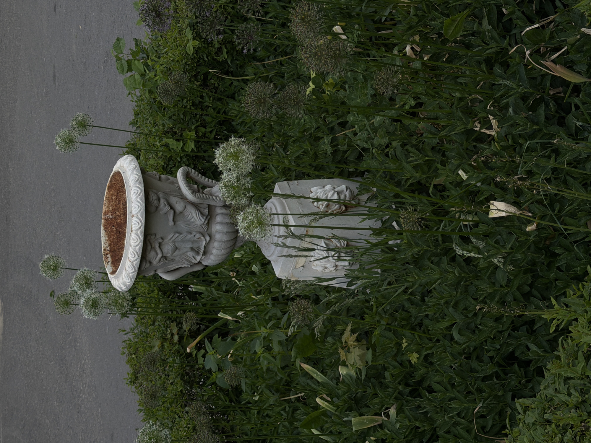 The image shows a gray, ornate vase placed among lush greenery. Some allium plants are visible near the vase. A portion of what appears to be a paved road is visible on the left side of the frame. The location is not specified.