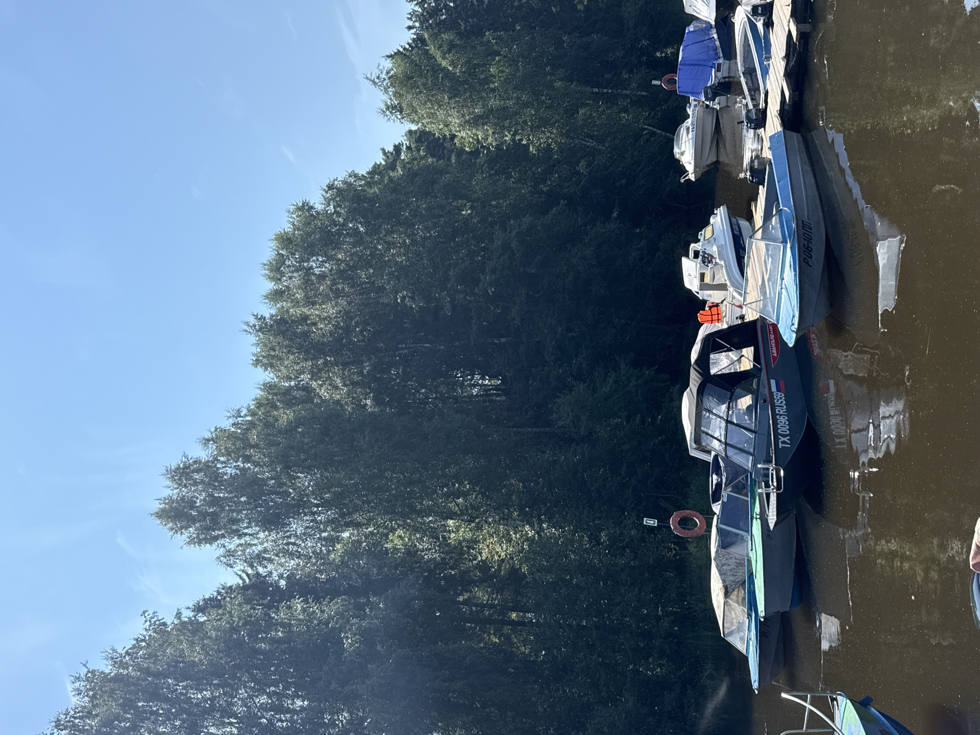 In Chaikovsky, Russia, a fleet of small motorboats is docked on a calm, brown body of water, likely a river or lake, adjacent to a dense forest of tall, leafy trees. The sky is a clear, bright blue with a few wisps of white clouds. Several boats are moored to a wooden pier, while others are anchored in the water. One boat in the foreground, painted light blue, has the registration number "P06-10 ПП" visible on its hull. Another dark-colored boat, also in the foreground, displays the registration "TX 0096 RUS59". A red life preserver ring is attached to a pole near the pier, and several boats have their covers on, suggesting they are not currently in use. The overall scene depicts a serene, summery day at a boat mooring.