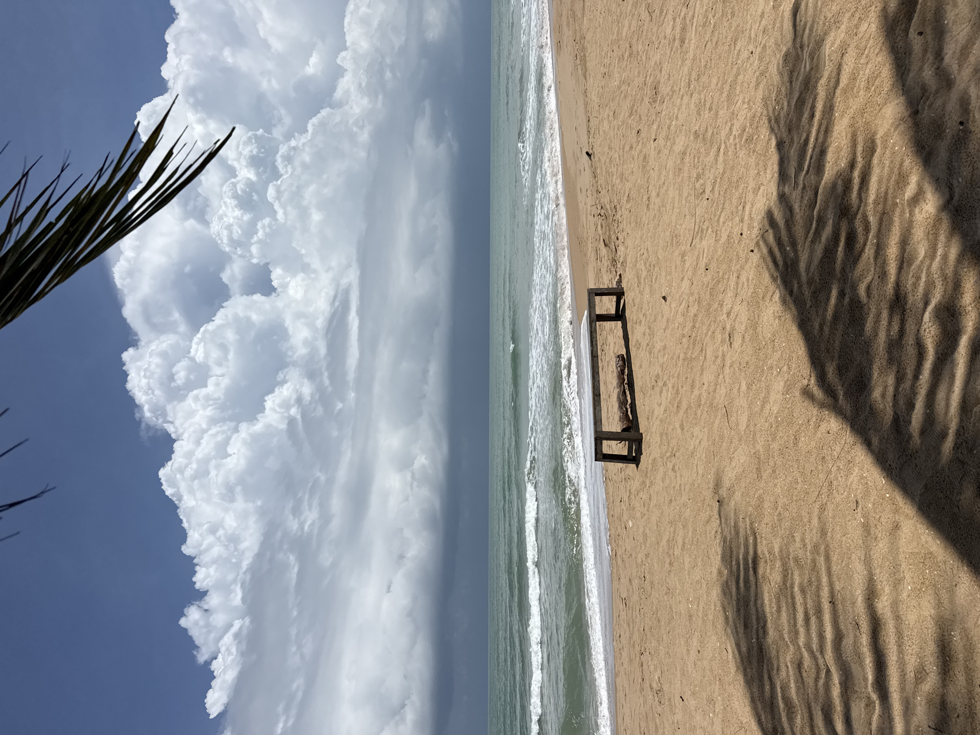 A wooden bench sits on a sandy beach in Ban Khuk Khak, Thailand. The ocean waves crash against the shore under a dramatic sky filled with large, fluffy white clouds that transition to dark, stormy clouds on the horizon. Palm frond shadows are cast across the sand in the foreground, and a single frond is visible against the blue sky in the upper right corner. A piece of driftwood lies on the bench. The scene conveys a sense of impending weather change.