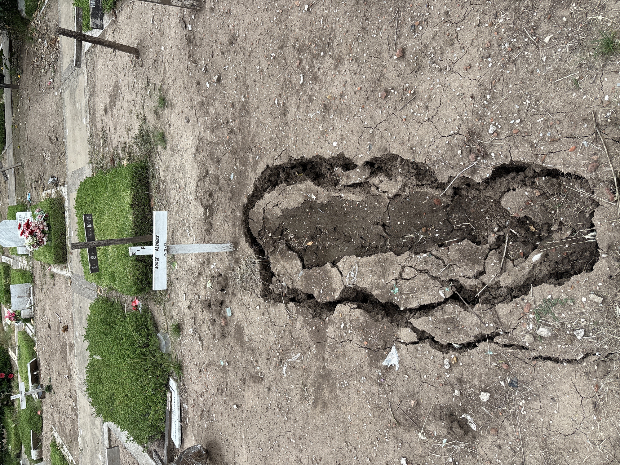 The image displays a section of a cemetery in Buenos Aires, Argentina, under diffused lighting conditions. The foreground is dominated by a prominent, elongated rupture in the dry, light brown earth, measuring approximately 1.5 to 2 meters in length and varying in width. This deep crack exposes darker, moist soil and disturbed ground within, indicative of subsidence or a collapse. The surrounding ground is extensively parched and cracked, littered with small stones, dry vegetative debris, and fragments of plastic or glass.
Immediately behind the main rupture, a simple white wooden cross stands as a grave marker. The legible inscription on this cross reads "JORGE ALVAREZ" followed by "17-7-9-75". In the midground and background, numerous other grave plots are visible. These plots feature either neatly trimmed green ground cover and low hedges or exposed, somewhat overgrown dirt patches. Various types of grave markers are present, including additional white wooden crosses (one partially legible displaying "2-8-"), dark weathered wooden crosses, and small, low-lying concrete slabs. Some plots are adorned with small artificial floral arrangements, predominantly red and white. The scene depicts an outdoor burial ground in a state suggesting active use combined with areas of disrepair or neglect. No individuals, actions, or interactions are depicted.