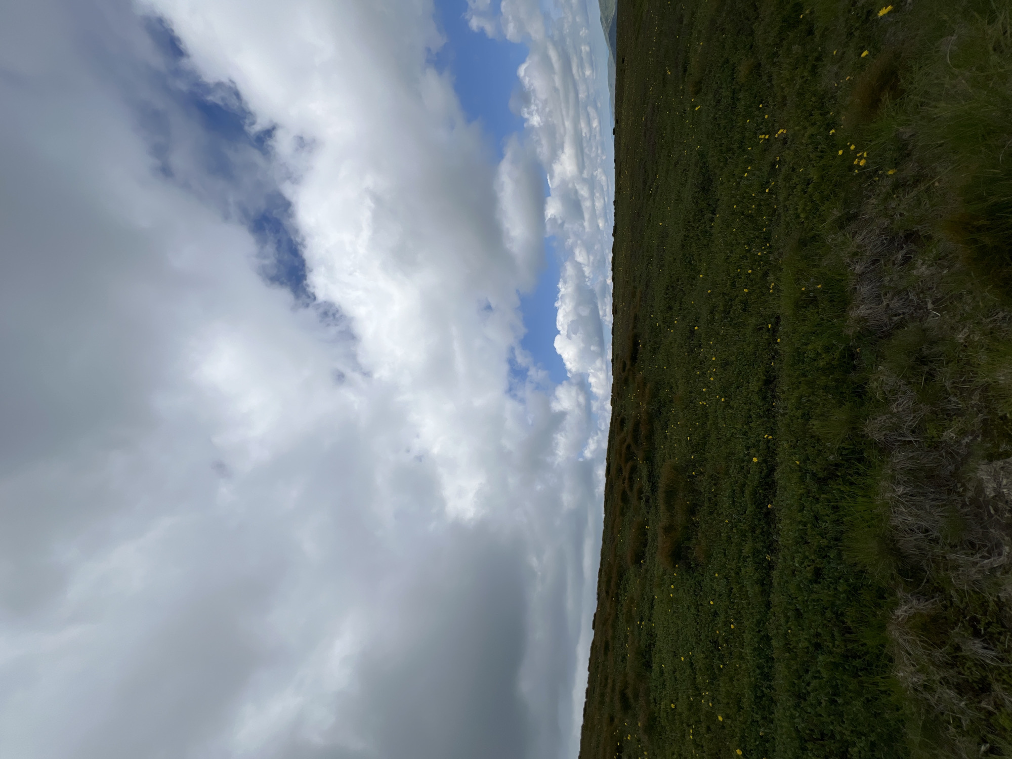 The image shows a rolling green hillside covered in grass and scattered yellow wildflowers. The sky is filled with dramatic, grey and white cumulus clouds, with patches of blue sky visible. The terrain appears to be natural and uncultivated, suggesting an outdoor, possibly rural or mountainous environment. There are no people or man-made structures visible in the frame. The scene depicts a natural landscape under a cloudy sky.