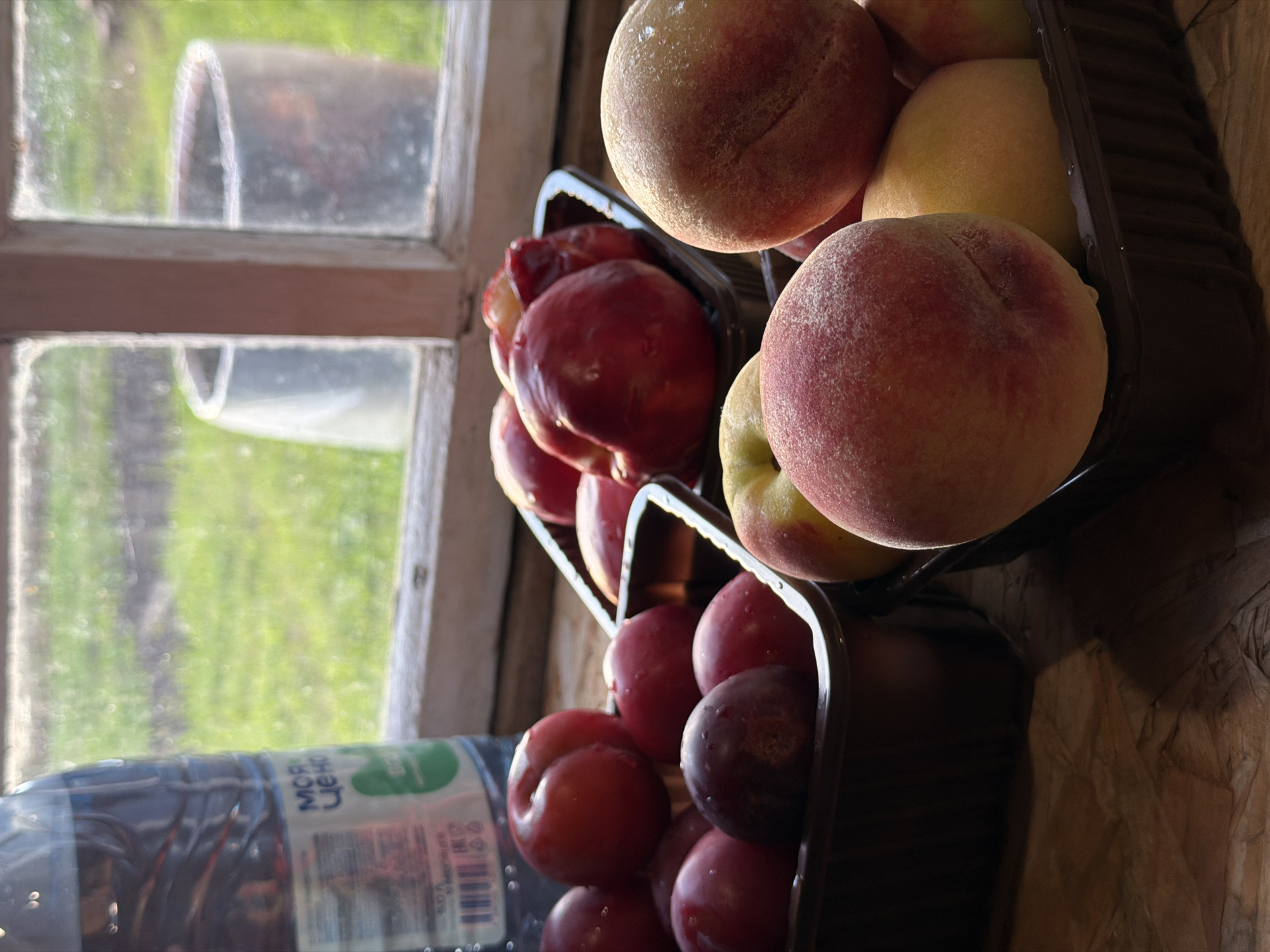 The image displays a collection of fresh fruit, specifically peaches and plums, arranged in dark plastic containers. These containers are positioned near a rustic wooden window with a slightly grimy pane, offering a blurred view of green foliage and what appears to be a rural outdoor setting. The window frame is weathered, suggesting an older structure.
To the left of the fruit containers is a partially visible plastic bottle of water. The label on the bottle features blue and white text, with the prominent Cyrillic words "МОЯ ЦЕНА" (Moya Tsenа), meaning "My Price."
The lighting in the scene suggests it is daytime, likely with natural light filtering through the window. The overall mood is serene and domestic, with the focus on the fresh produce. The presence of the window and the outdoor view hints at a location in Russia, potentially in a more natural or agricultural environment given the greenery. There are no people visible in the image. The fruit appears to be ripe and recently washed, with visible water droplets on some of the plums.