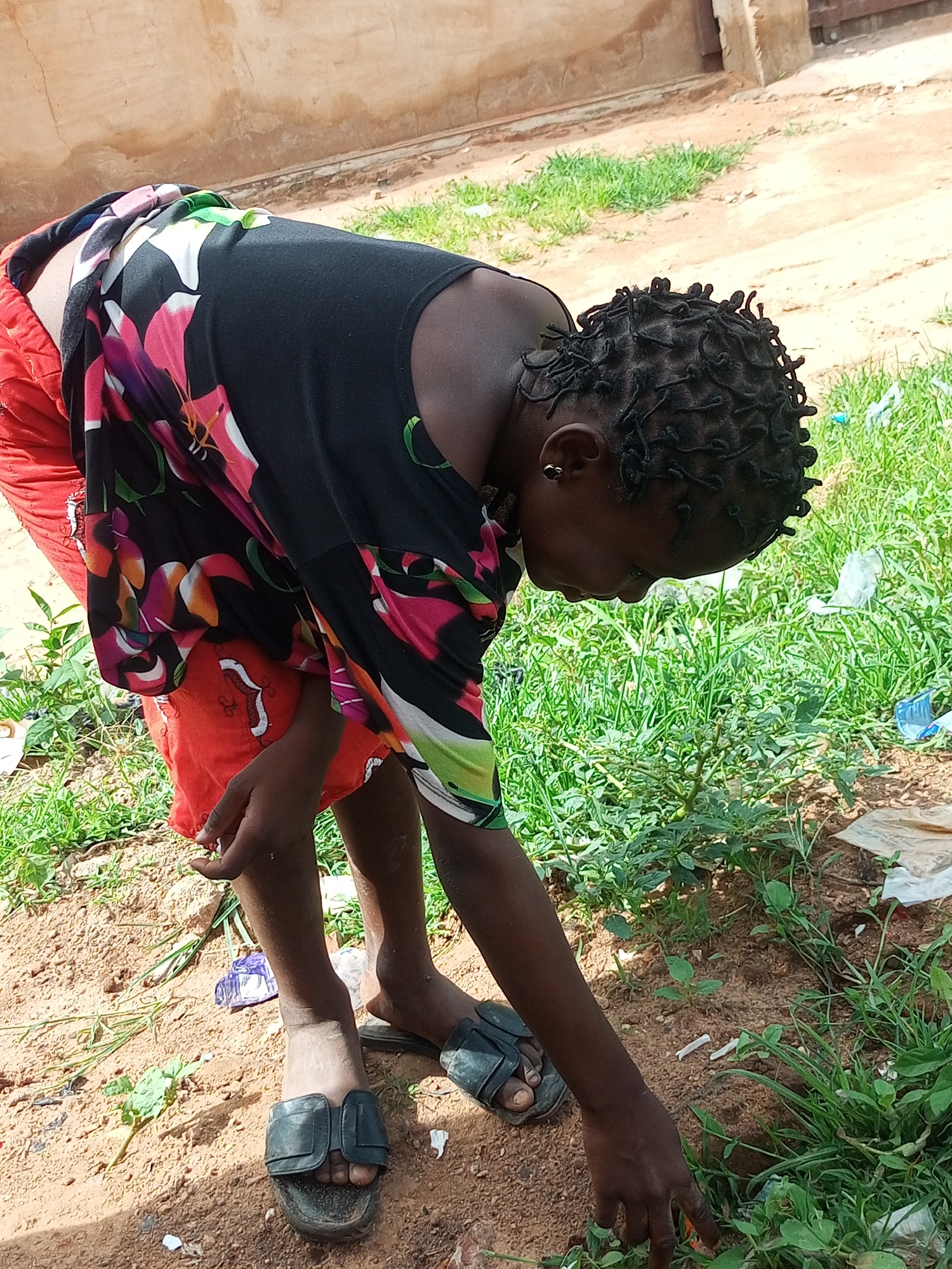 An individual, with dark skin and hair styled in small braids, is bent over to the right, examining the ground. They are wearing a black, short-sleeved shirt adorned with a colorful floral pattern featuring pink, orange, green, and white flowers, and red shorts. Black sandals are on their feet. The individual is reaching towards a patch of green plants growing in a dirt and sandy area. The background consists of a textured, light brown wall and a dirt path with sparse green grass. The overall environment appears to be outdoors in a casual, perhaps rural or semi-urban setting in Tempure, Nigeria.