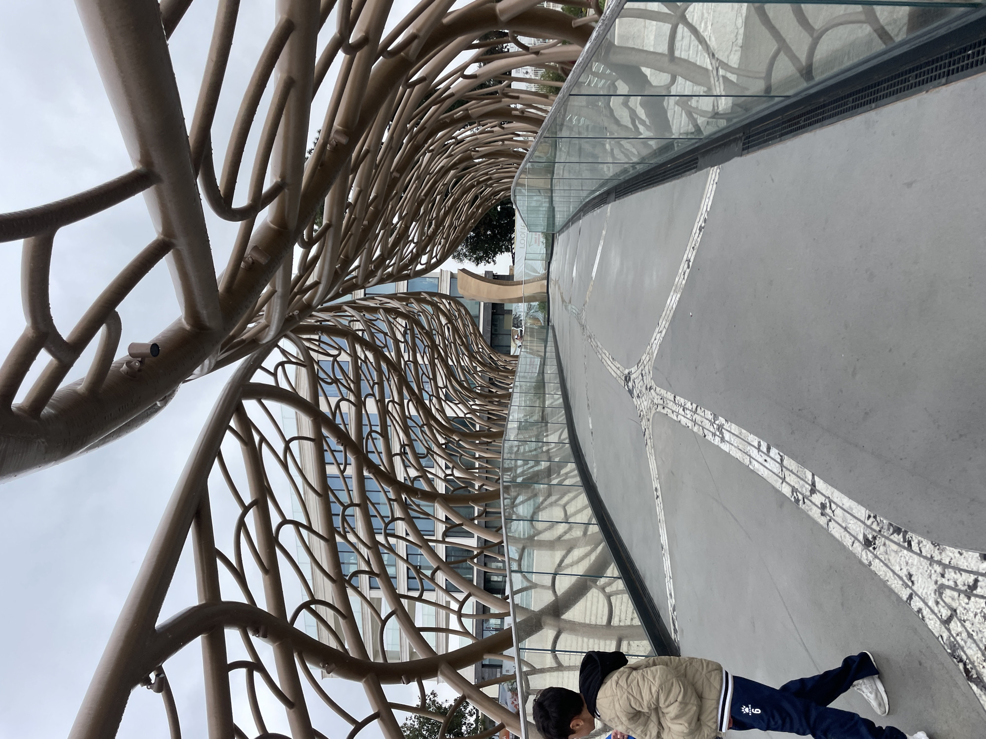 The image shows a pedestrian bridge in Sochi, Russia, characterized by a unique arboreal structure. The bridge’s canopy is constructed from interconnected, branch-like metal beams. The walkway is paved with concrete and features a decorative mosaic design. A glass barrier lines the edge of the bridge. In the foreground, two children are present. The surrounding environment includes modern buildings and foliage, suggesting an urban park or promenade. The sky is overcast.