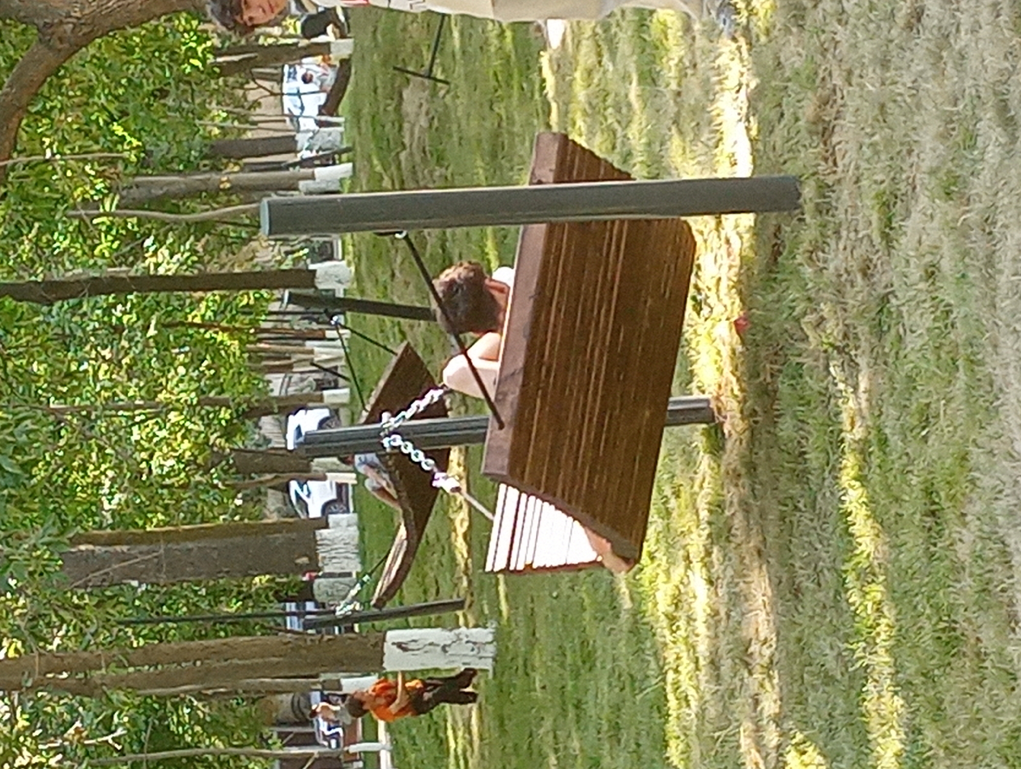 In Shymkent, Kazakhstan, a park scene unfolds with a focus on outdoor recreation. A boy in an orange shirt and dark pants is captured mid-stride, walking across a grassy area under the dappled sunlight filtering through the leaves of tall trees. Nearby, a wooden swing set with a plank seat hangs suspended by chains, occupied by a person whose head and shoulders are visible, reclined on the swing. Another similar wooden swing set is visible in the background, also suspended and empty. The ground is covered in short, green grass, with patches of dry earth. In the distance, vehicles are parked, suggesting the park is accessible by car, and several trees with white-painted bases line a pathway. A person, partially visible on the right side of the frame, is facing away from the camera. The overall impression is a bright, sunny day in a public park.