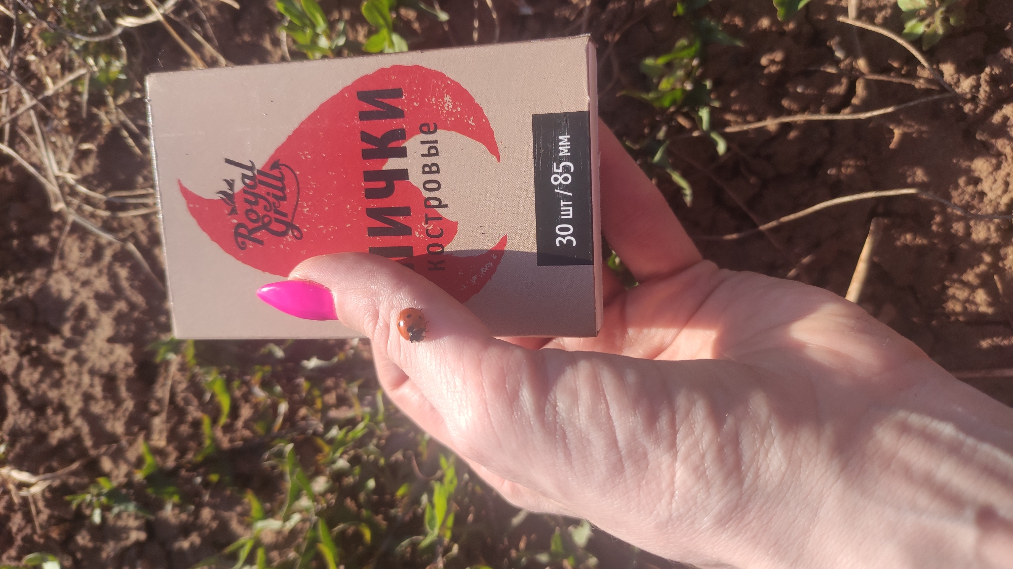 A hand holds a box of Royal Grill matches in the city of Chaikovsky, Russia. A ladybug rests on the hand. The background is a field with brown soil and sparse green vegetation. The box label has text in Russian.