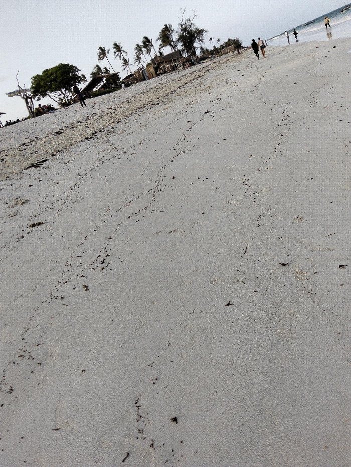 This image depicts a wide, slightly tilted coastal scene within the Gombato Bongwe ward, Kenya. The foreground is dominated by expansive, light grey-beige sand, marked extensively with small, irregular linear tracks and scattered dark organic debris. In the mid-ground, towards the left, a cluster of dense green trees, including several tall palm trees, rises above multiple rustic, possibly thatch-roofed structures. One indistinct human figure is visible standing near these structures. Further along the shoreline to the right, approximately five to seven human figures are observed walking individually or in small groups at the water's edge, some appearing to wade in shallow water. The calm ocean surface, reflecting the pale sky, meets the beach horizontally in the upper right. The sky overhead is a uniform, overcast light grey.