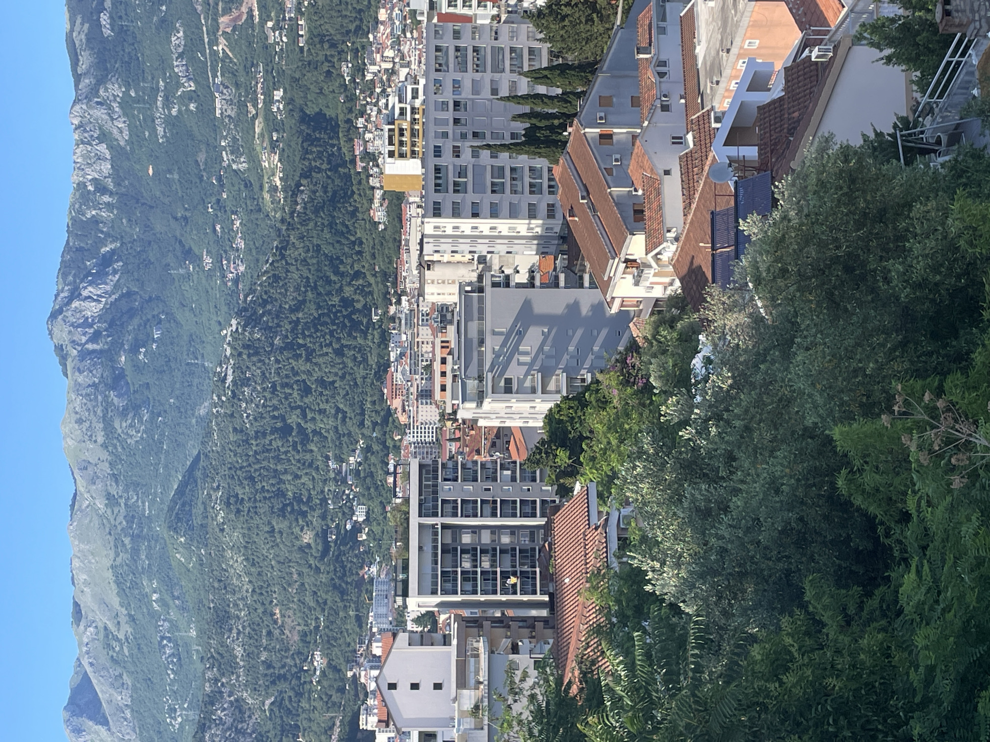 The image shows a view of Budva, Montenegro, from an elevated position. The scene includes a mountain range to the left, heavily forested slopes, and a dense urban area extending towards the center of the frame. The urban area contains buildings of varying heights and architectural styles, including modern apartment buildings and structures with red-tiled roofs. Lush vegetation is present in the foreground and scattered throughout the urban landscape. The sky is clear and blue. The photograph appears to have been rotated.
