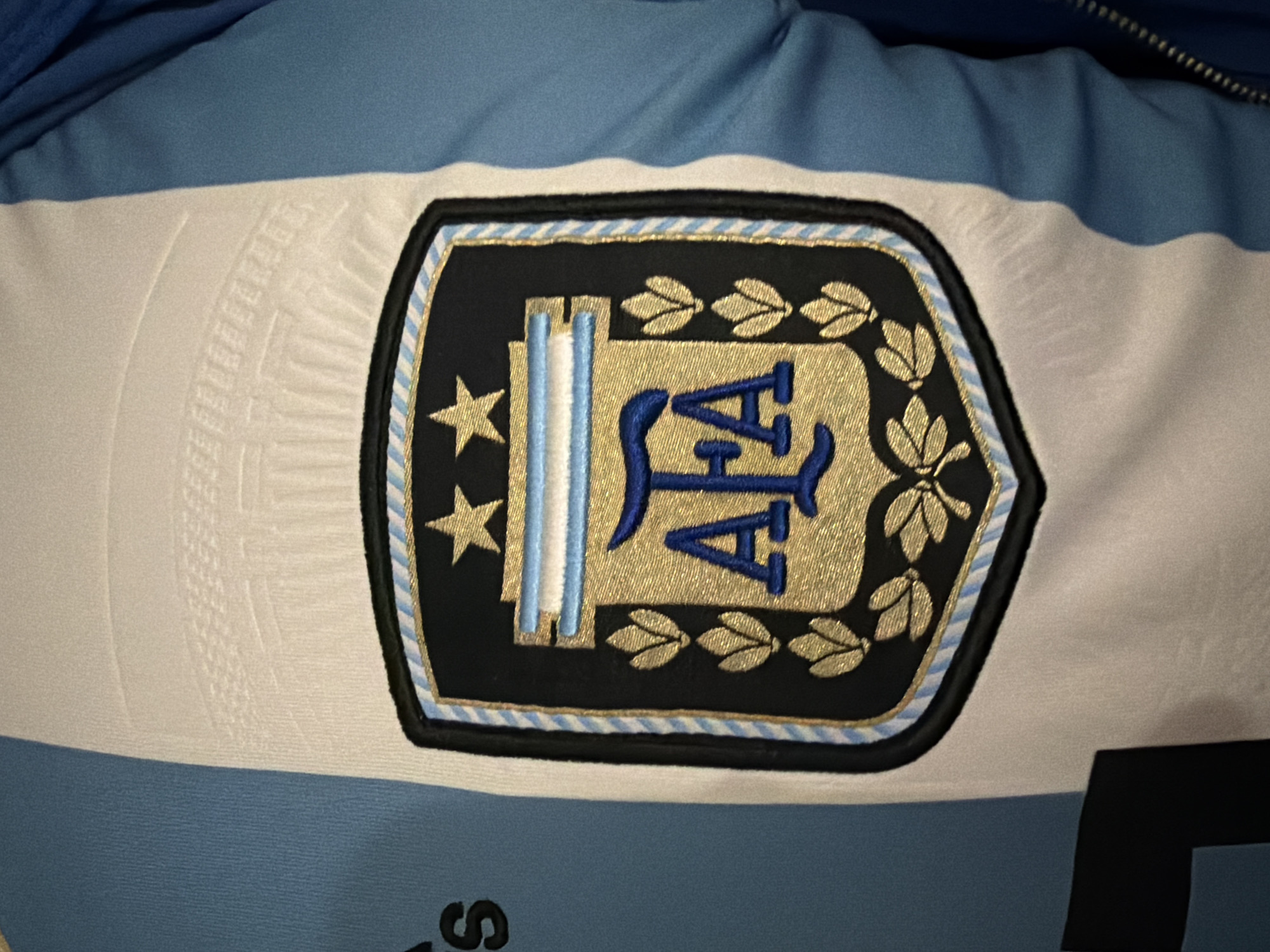 The image shows a close-up of an embroidered patch on a light blue and white striped garment, possibly a sports jersey. The patch is shield-shaped and features the letters "AFA" in gold and blue embroidery, along with two gold stars above and a laurel wreath design. The garment has a zipper visible on the right side. The background is blurred, but appears to be indoors. The image is not specific to Yekaterinburg, Russia; it depicts a clothing item and its emblem.