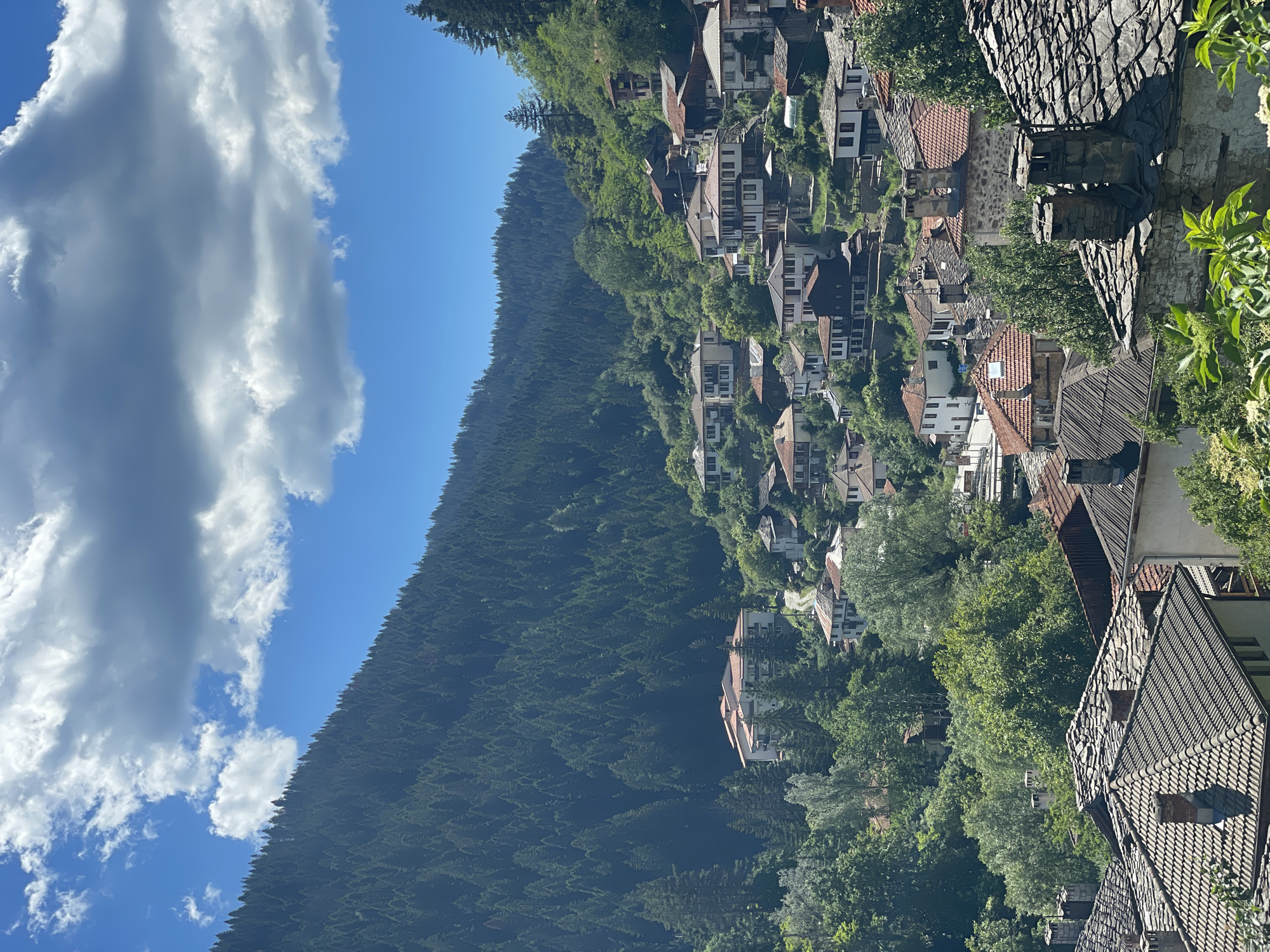 The image depicts a scenic view of the village of Shiroka Laka, Bulgaria, nestled in a valley and ascending a mountainside. A dense, dark green forest covers the steep slopes of the mountain, with the trees appearing as a uniform carpet from a distance. The sky above is a vibrant blue, punctuated by fluffy white and gray clouds.
The village itself is characterized by a cluster of traditional Bulgarian houses, many featuring distinctive white walls and dark timber-framed upper stories. The rooftops are a mix of terracotta tiles and weathered stone slates, with numerous chimneys visible. The houses are built on terraces, following the contours of the hilly terrain, and are interspersed with lush green trees and foliage. Some larger buildings, possibly hotels or public institutions, with red-tiled roofs and multiple stories, are visible higher up the slope. A road or pathway winds its way through the village. The overall impression is one of a historic and picturesque mountain settlement.