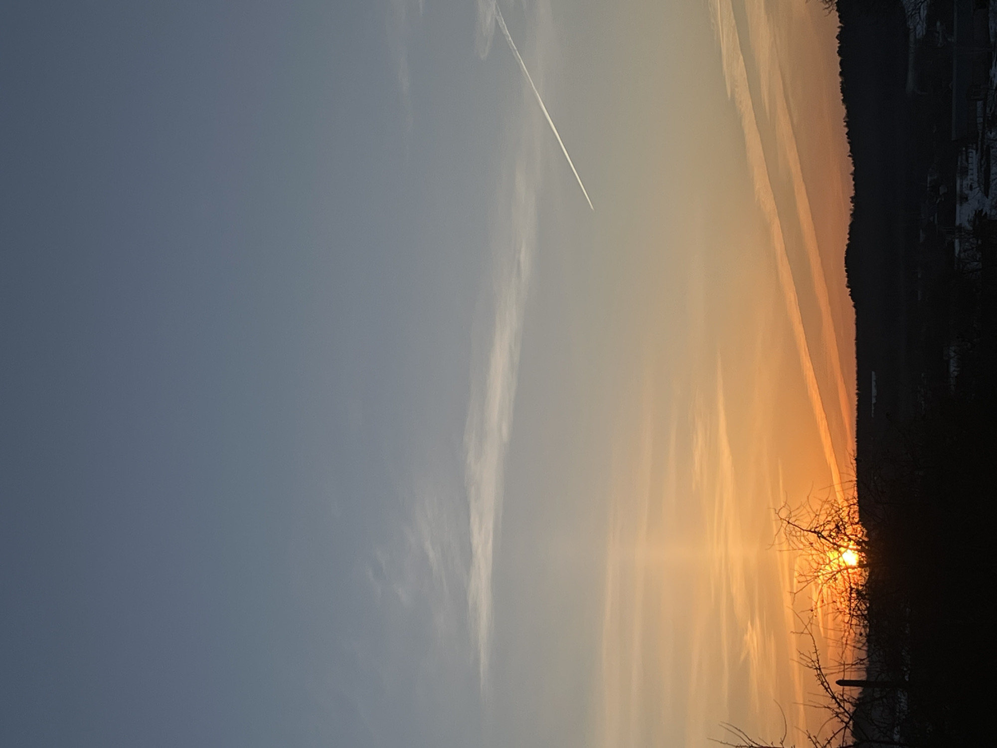 The image depicts a sunset in Большой Букор, Russia. The sky transitions from blue on the left to orange on the right, with a contrail visible in the upper center. There is also a cloud formation. The sun is setting behind dark silhouetted trees and the horizon. The trees appear to be bare and possibly partially obscuring buildings in the distance.