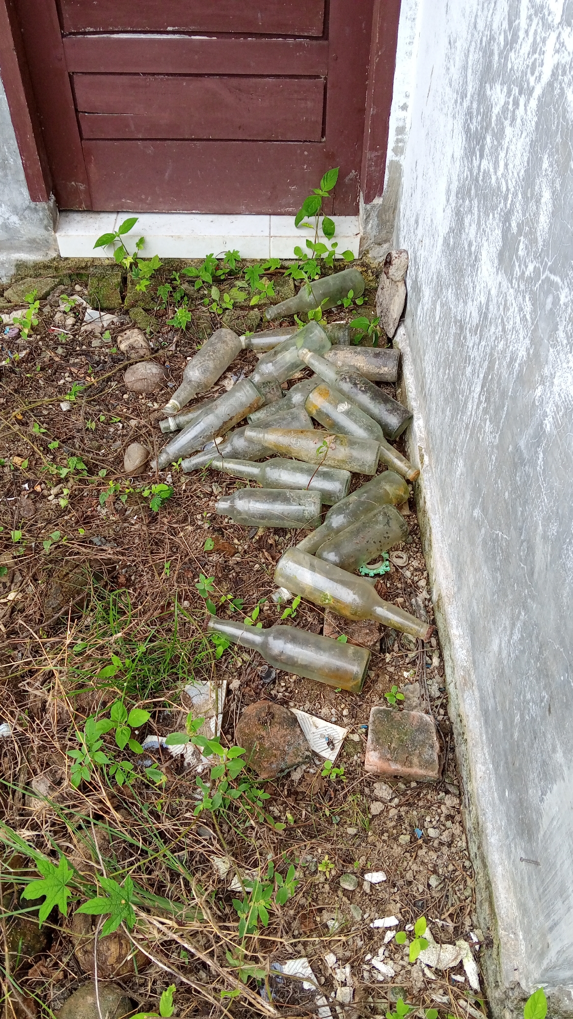 A pile of discarded glass bottles lies on the ground next to a dark red wooden door and a light gray concrete wall. The bottles are mostly clear and vary in size and shape, with some appearing to be old and dirty. Small green plants are growing among the bottles and in the surrounding dry, brown earth and debris. The scene suggests an outdoor area, potentially a neglected corner of a property in Buketteukuh, Indonesia.