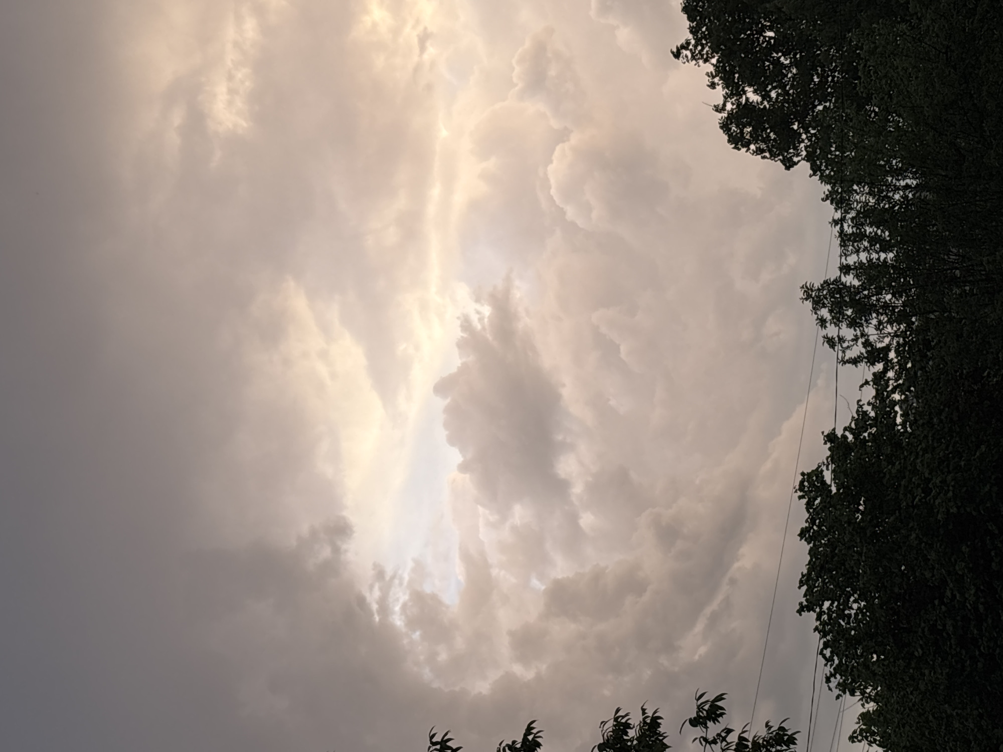 The image captures a view looking upwards towards a dramatic, overcast sky. The clouds are dense and textured, varying in shades from dark gray to a lighter, almost white, suggesting the presence of sunlight filtering through. A gap in the clouds reveals a brighter patch of sky. The foreground is framed by dark foliage of trees on the right and bottom edges. Thin power lines are subtly visible amid the trees on the right. The location is Pchelnik, Bulgaria, evidenced by the overcast weather conditions and native foliage. No people, activities, or specific objects are discernible other than natural elements and infrastructure.