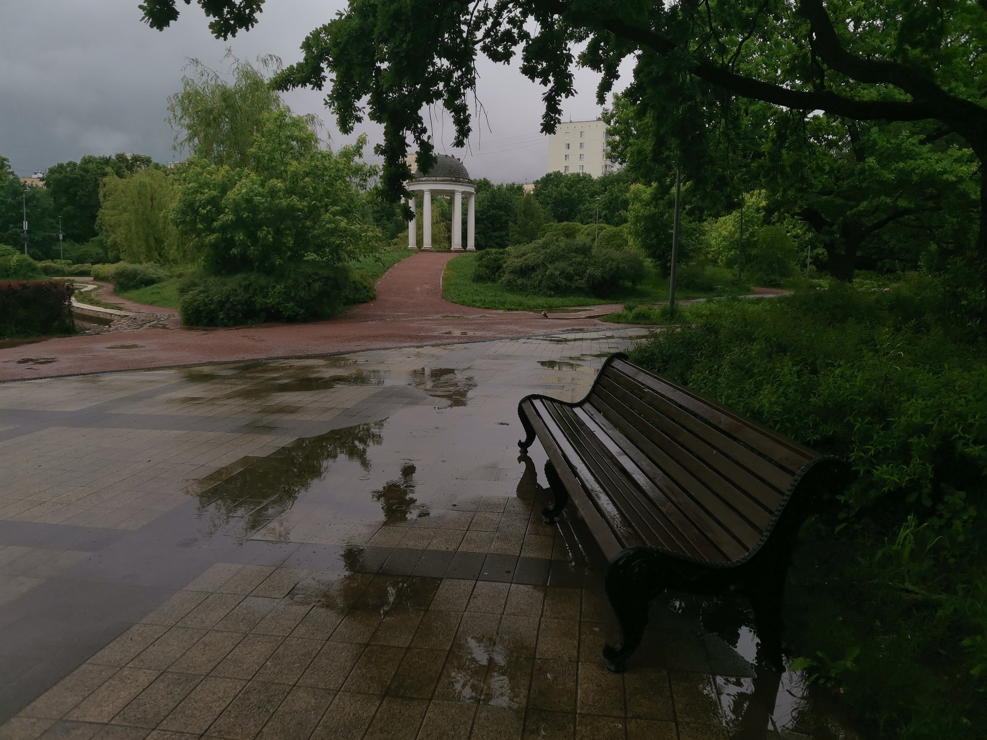 The image shows a park in Moscow, Russia, on a rainy day. A dark wooden bench sits in the foreground on a wet, tiled path. Beyond the bench, the path curves towards a white, domed rotunda surrounded by lush green foliage. The sky is overcast, and reflections are visible in the puddles on the path. The presence of a multi-story building indicates the park is within an urban setting.