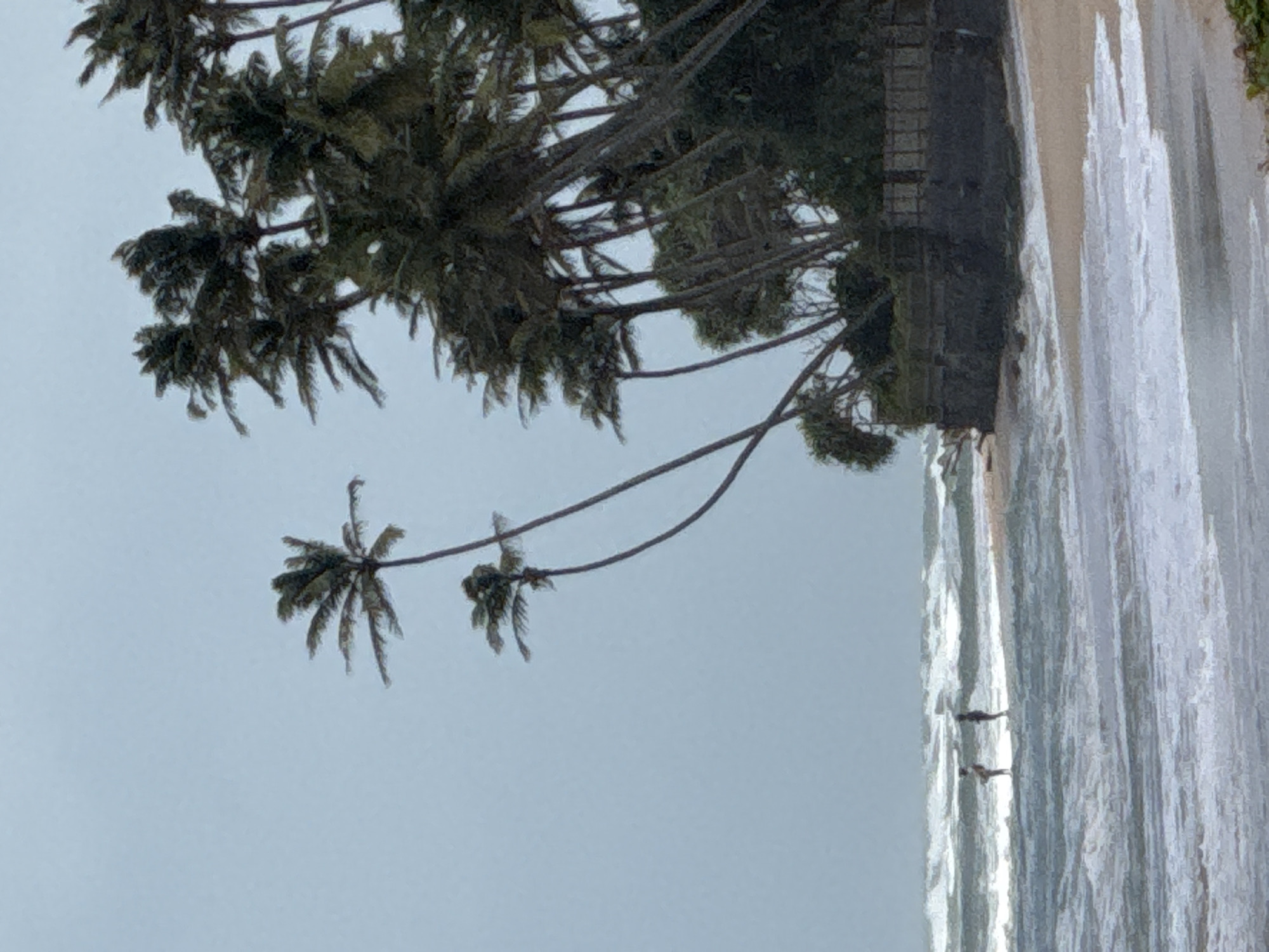 The image depicts a beach scene in Habaraduwa, Sri Lanka, under an overcast sky. Two individuals are standing in the shallow water near the shore, facing the ocean. The water is choppy with whitecaps and foam washing onto the sandy beach. A line of palm trees, some leaning significantly, forms the backdrop along the coastline, with lush vegetation visible behind them. A low, dark wall or embankment runs along the edge of the beach, topped with a fence or railing. The overall impression is of a windy, possibly rainy day at a tropical beach.