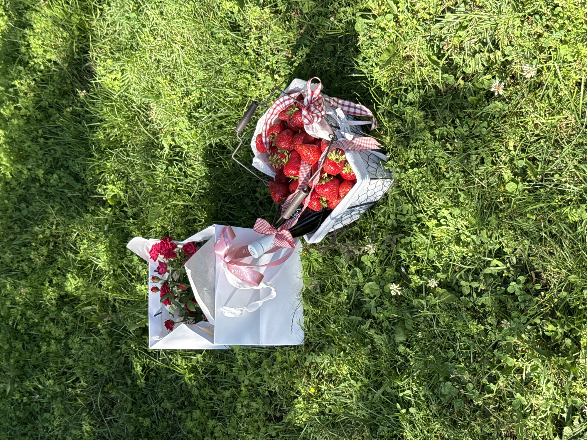 The image shows a picnic setup on a grassy lawn. Two items are visible: a white gift bag containing a bouquet of red roses, and a wire basket filled with fresh strawberries. Both items are decorated with red and white checkered ribbons. The background consists of green grass with some clover and small white flowers, illuminated by sunlight creating shadows. The specific location in Alagir, Russia is not discernible from the visual information provided. There are no people present in the scene.