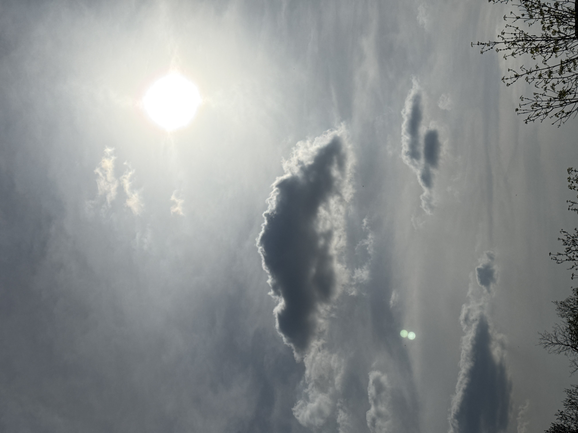 The image captures a bright, cloudy sky scene in Pleven, Bulgaria, during the daytime. A brilliant white sun with a starburst effect is visible in the upper-left quadrant, partially obscured by thin, hazy clouds, causing a strong glare. The sky is predominantly covered with clouds of varying densities.
A large, darker grey cloud with bright, illuminated edges stands out prominently in the mid-left area, characterized by its textured and irregular shape. Other lighter, wispy clouds are scattered across the frame, creating a dynamic sky texture. In the lower-left portion of the sky, two distinct, bright green, circular lens flares are noticeable.
On the right side of the image, the silhouetted, bare branches of a tree are visible against the cloudy backdrop, with some sparse, newly emerged light green leaves, suggesting an early spring season. There are no people, specific activities, or visible text in the image. The weather appears to be overcast but bright, with the sun breaking through the clouds.