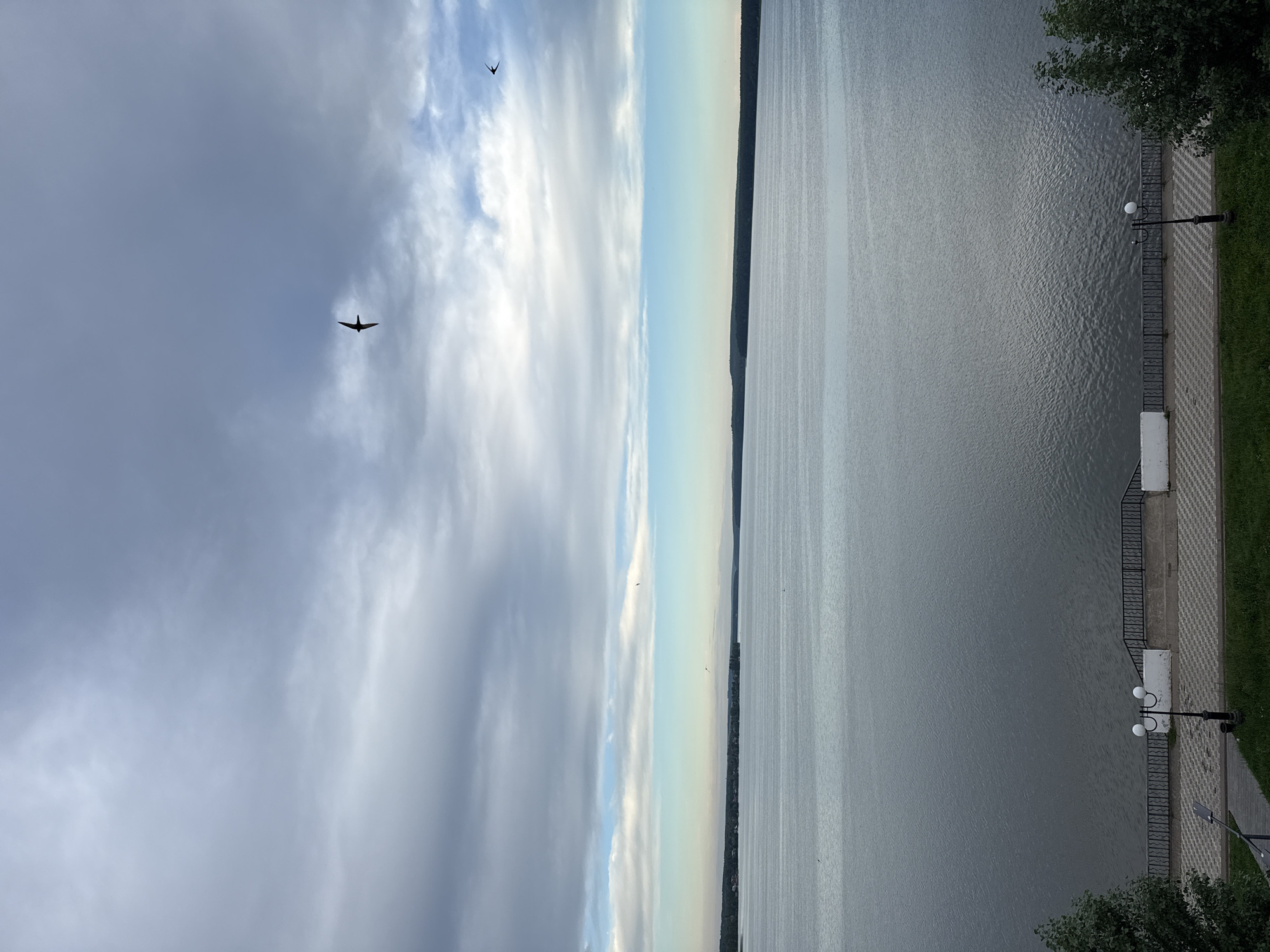 A wide, calm body of water stretches to the horizon under a cloudy sky. In the foreground, a paved walkway with a checkered pattern borders the water, separated by a low black metal fence. A black lamppost with two white globes stands on the walkway. Green grass covers the ground beyond the walkway. In the distance, a tree line forms the far bank of the water. Two birds are visible in flight, one in the upper portion of the sky and another lower down. This scene depicts the Votkinsk Reservoir in Votkinsk, Russia.