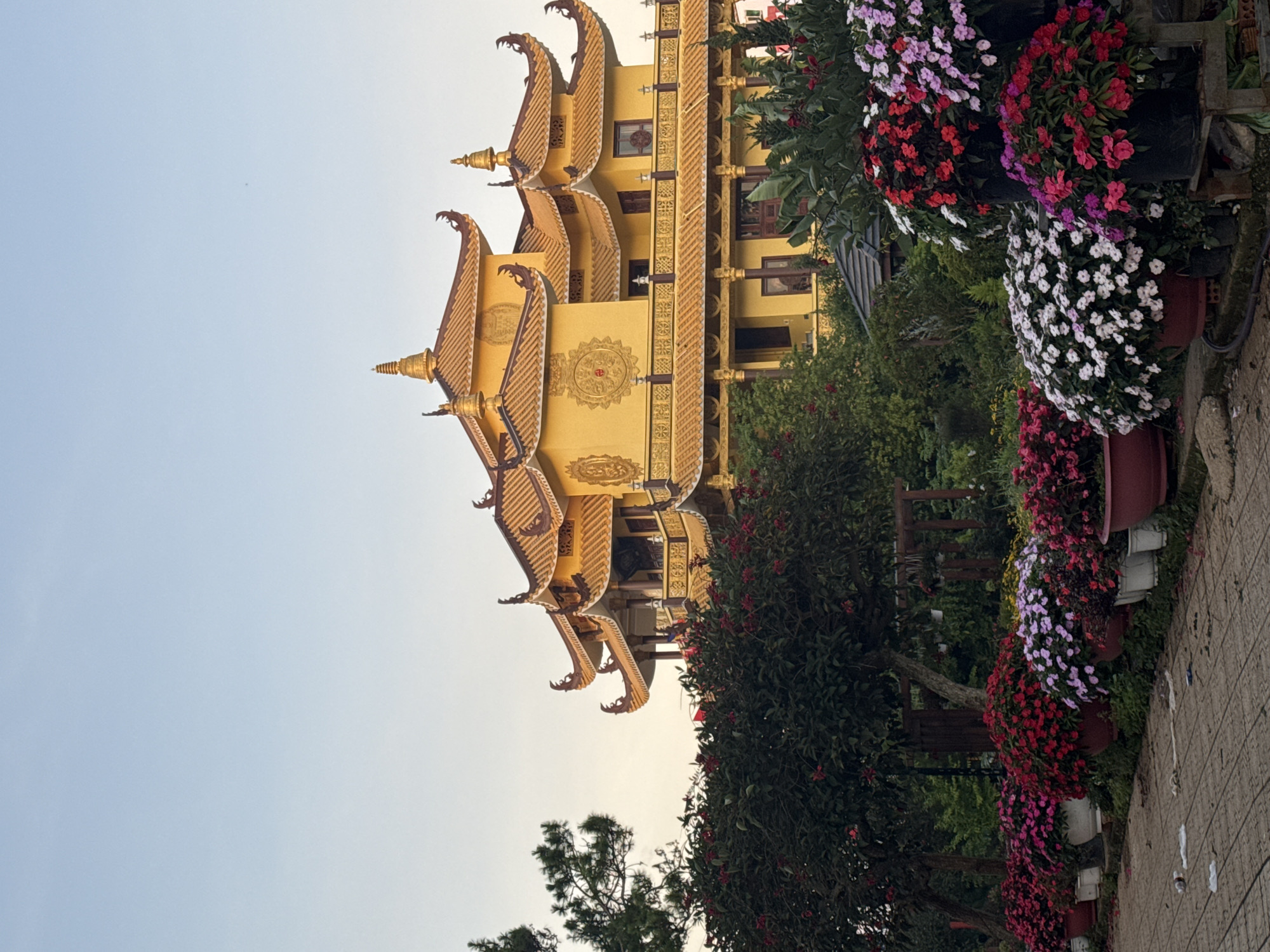 The image shows a brightly painted yellow Buddhist temple with a multi-tiered, ornate roof, set against a clear blue sky. The temple features intricate gold detailing on its exterior and decorative elements along its balconies. In the foreground, a lush garden is filled with a variety of potted flowers in vibrant shades of red, pink, and purple, arranged in rows. Some of the flowers are blooming profusely, creating a colorful display. Trees with dark green foliage are interspersed throughout the scene, providing a natural contrast to the man-made structures. The ground in front of the flower pots appears to be paved with grey interlocking tiles, and there is some scattered litter on the ground, including plastic bags and cups. The overall impression is one of a serene religious site surrounded by a beautifully maintained floral garden. This is the Truc Lam Zen Monastery, located in the city of Da Lat, Vietnam.