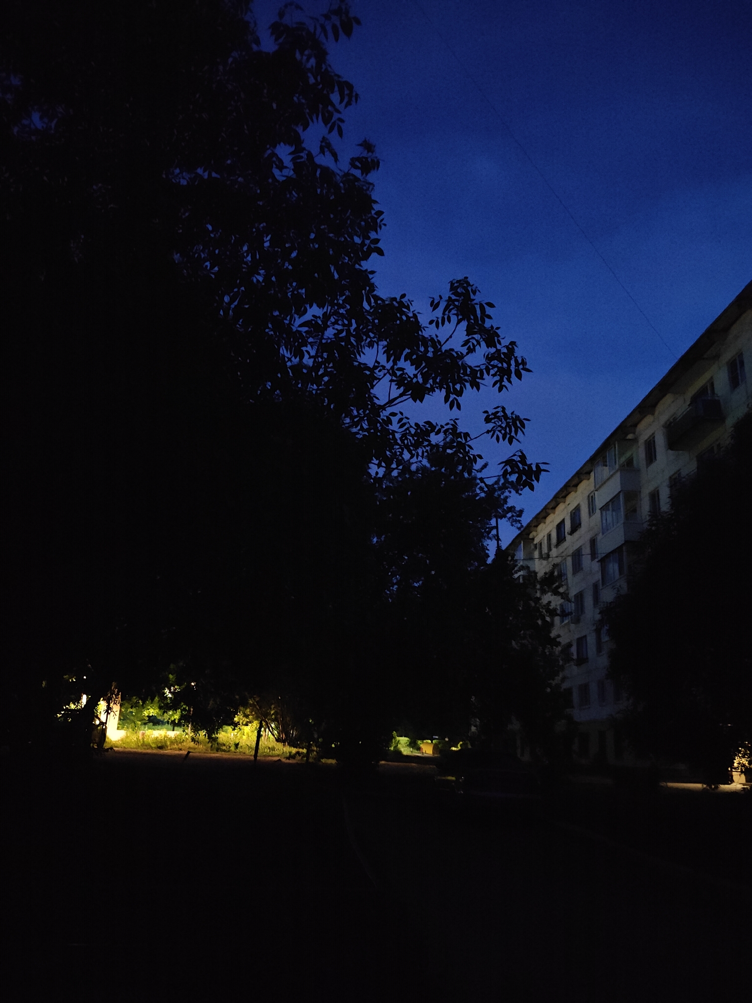 The image shows an urban evening scene in Chaikovsky, Russia. The sky is a deep blue hue, indicating twilight. A multi-story residential building occupies the right side of the frame, its facade showing numerous windows and balconies. Trees with dense foliage stand in the foreground and middle ground, casting shadows that obscure the ground and lower portions of the building. Streetlights illuminate the base of the trees and parts of the grass, providing points of contrast within the darkness. The lack of clarity in the lower part of the image suggests minimal ambient light. No people are discernible in the scene. The overall impression is one of a quiet, dimly lit residential area at dusk.